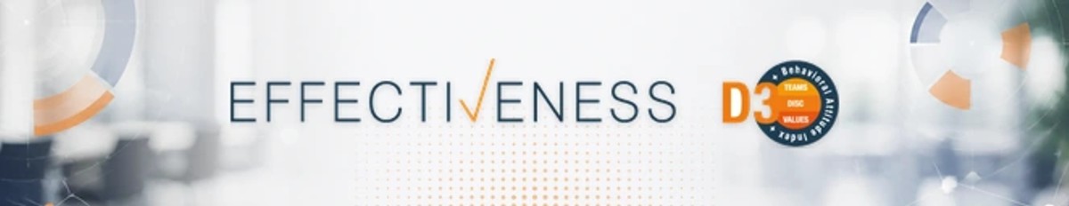 Case study SellWise – EFFECTIVENESS