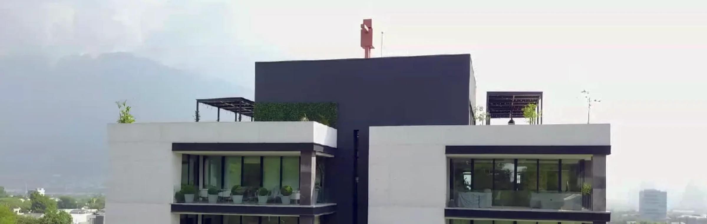 Palo Blanco
