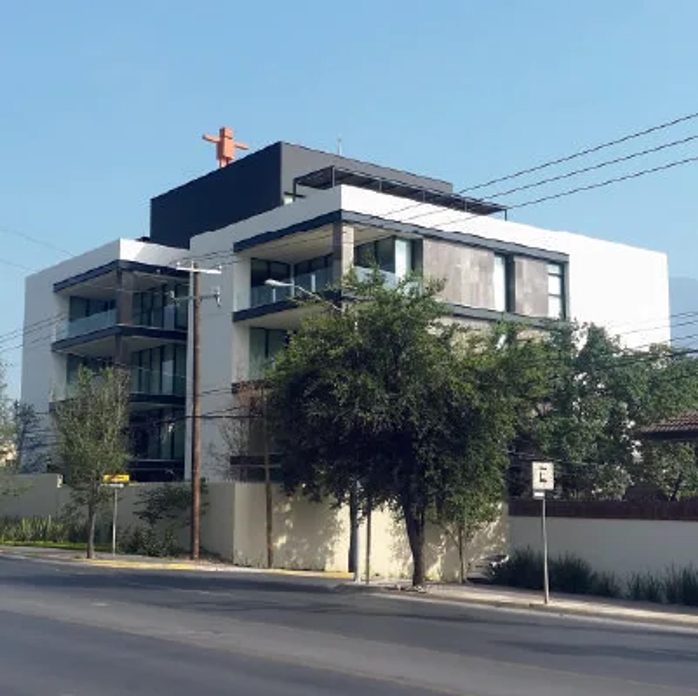 Palo Blanco