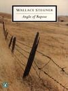 The cover of the book Angle of Repose