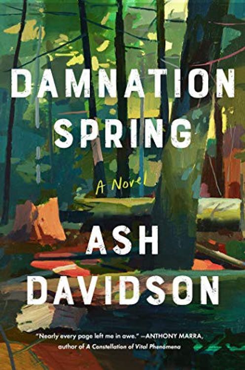 The cover of the book Damnation Spring