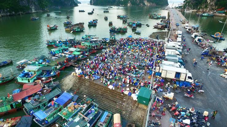 Top 6 Famous Markets in Ha Long You Should Visit