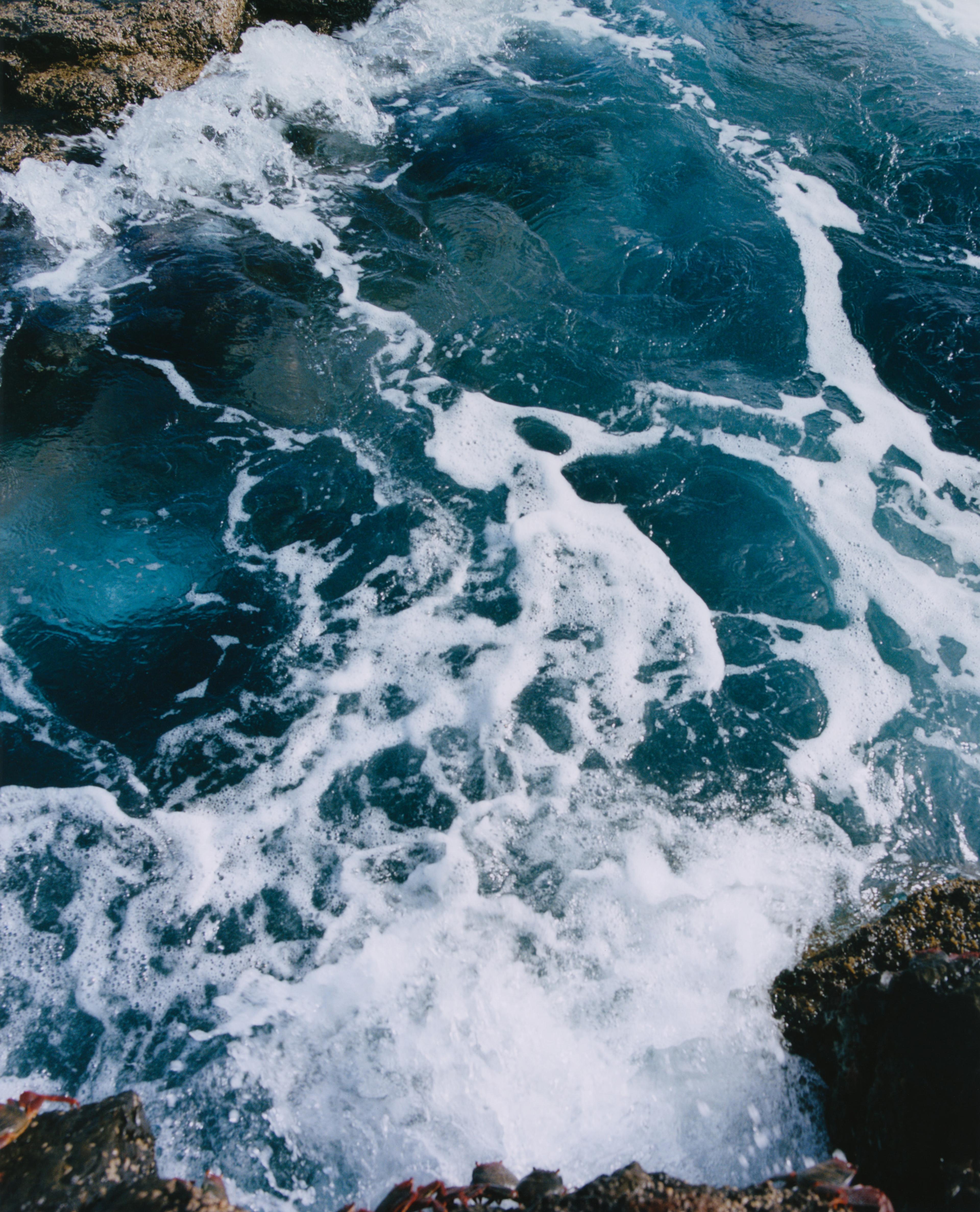 Archive | Felicity Ingram