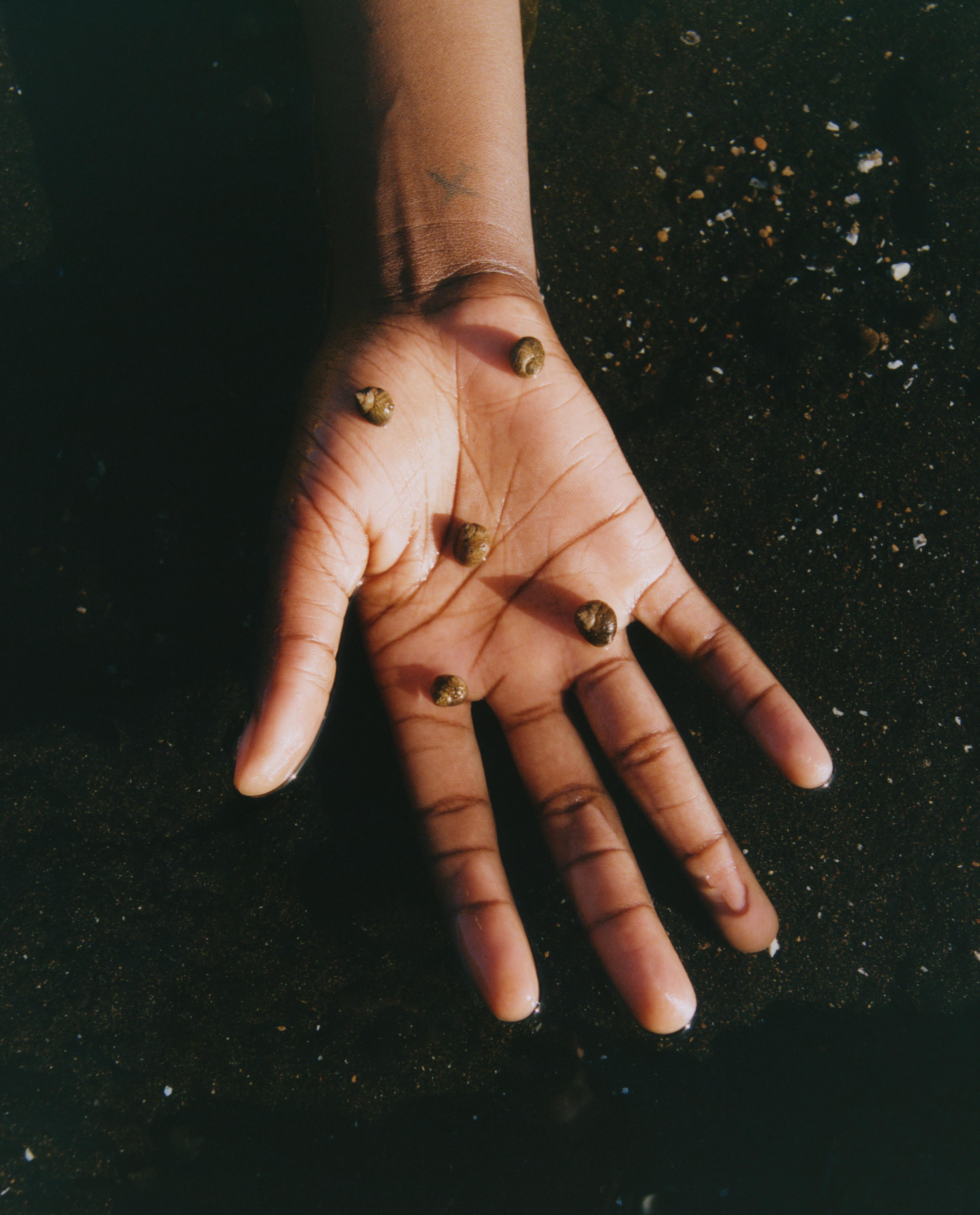 Archive | Felicity Ingram