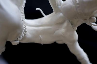 unique fine arts sculpture jugend stil art deco chiparus testris modern chriselephantine nice women feet long legs big breasts tits boobs