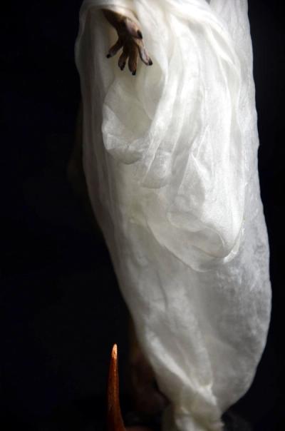 Glowing robe