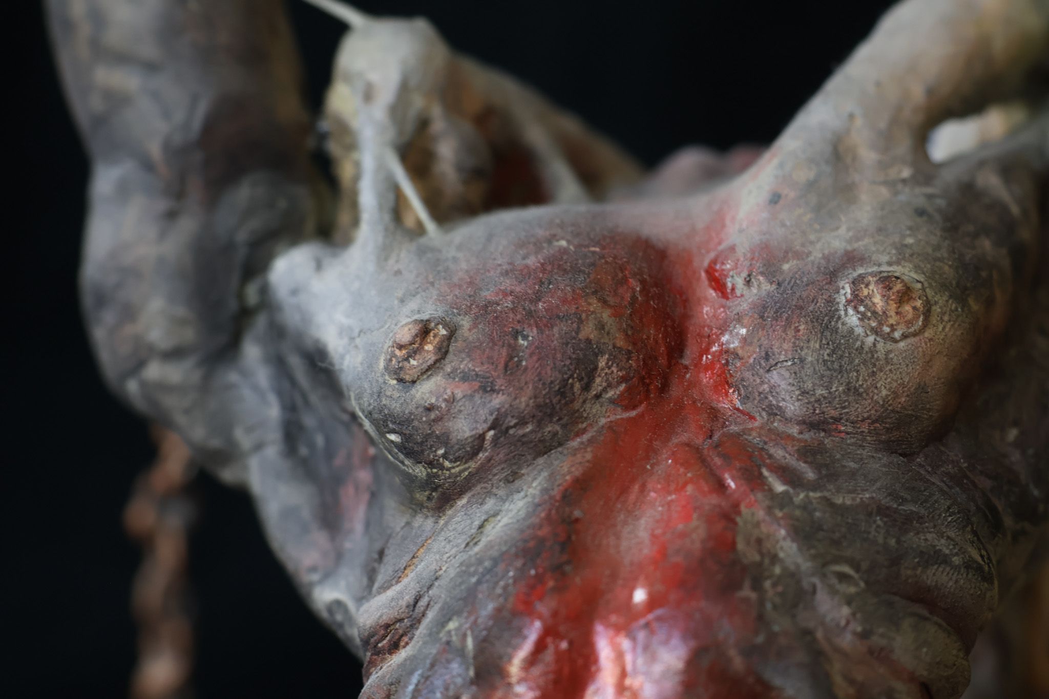 The lineage of blood