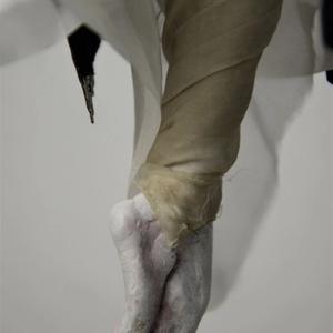 Beautiful arched feet like Iana Salenko from Ballet Ensemble Berlin