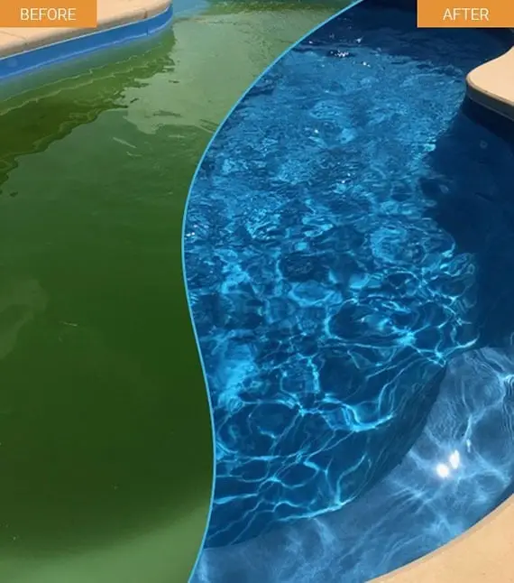 Pro Pool Solutions provides a "green Pool" to "clean Pool" service