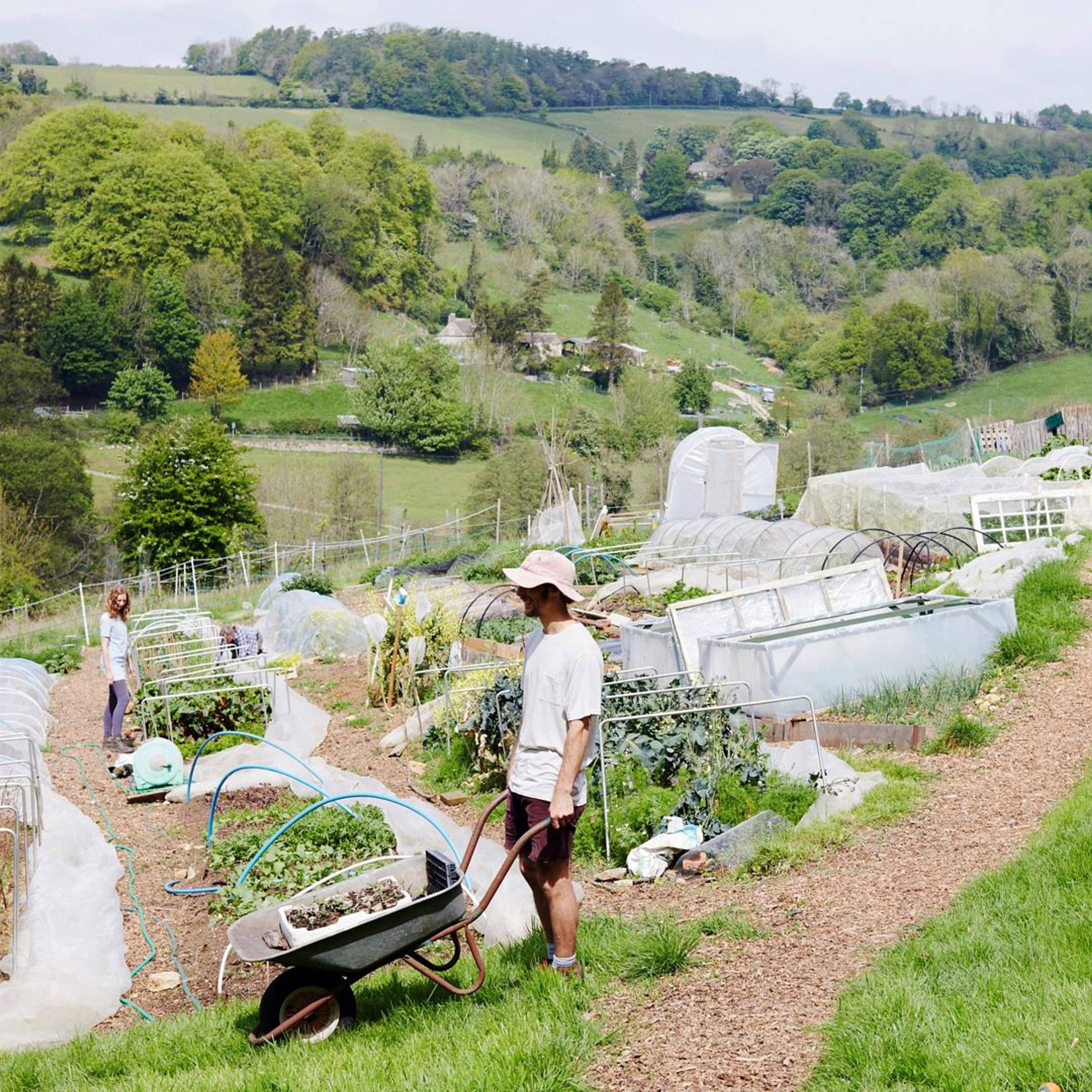 Common soil community farm landscape photograph