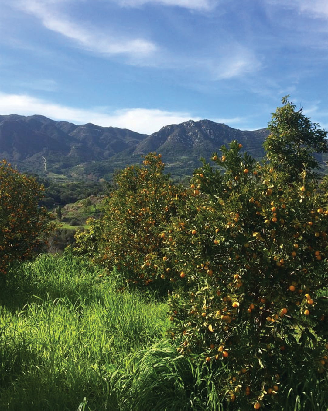 Season planner image