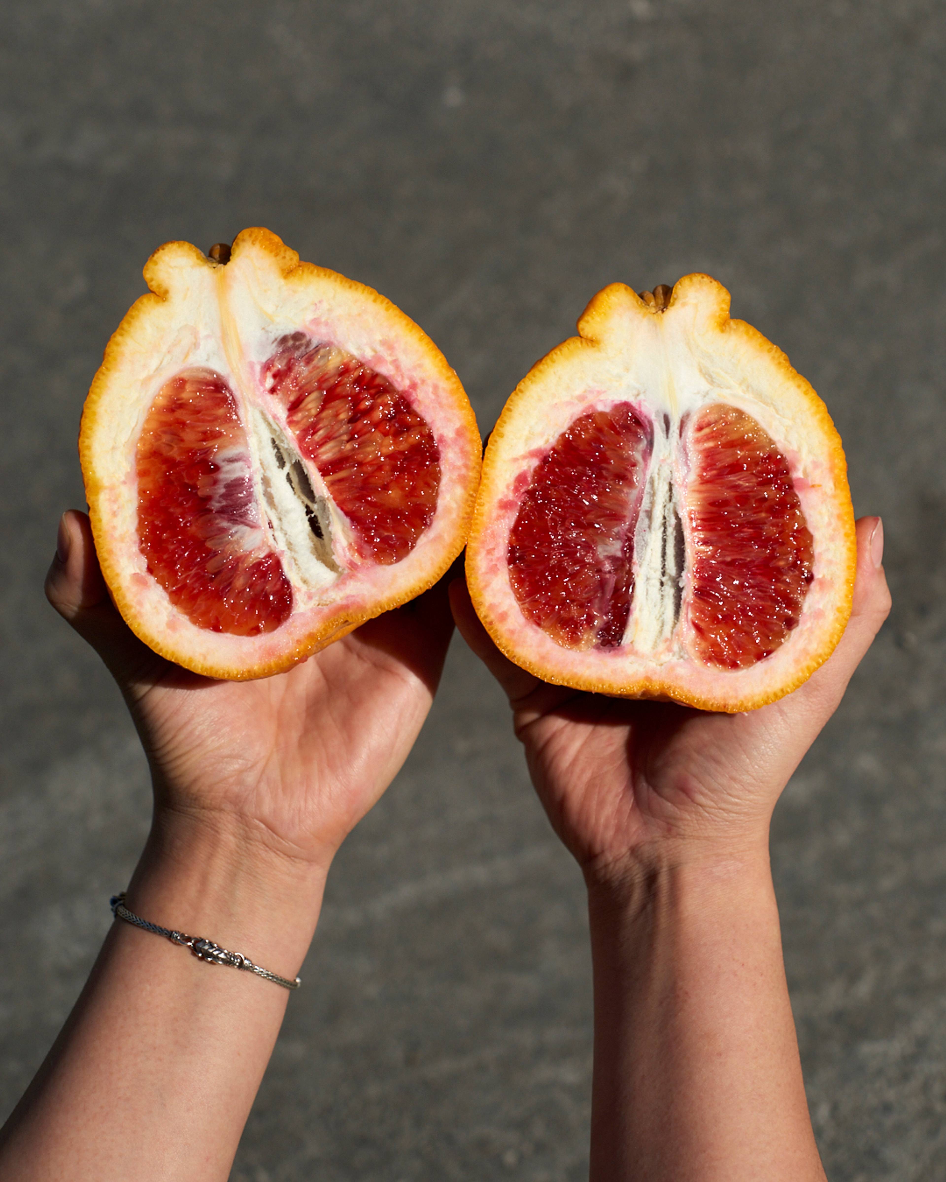 Season planner image