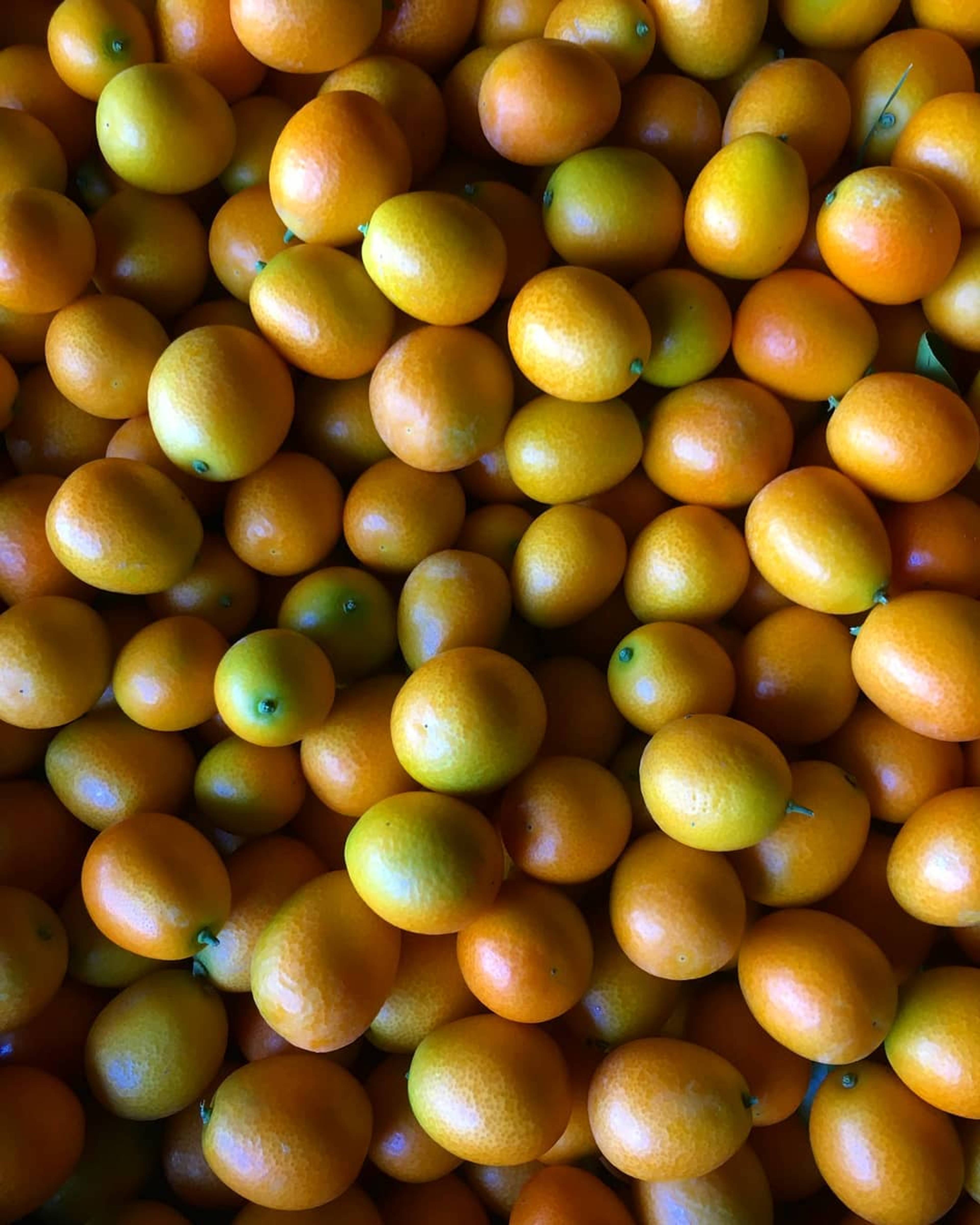 Season planner image