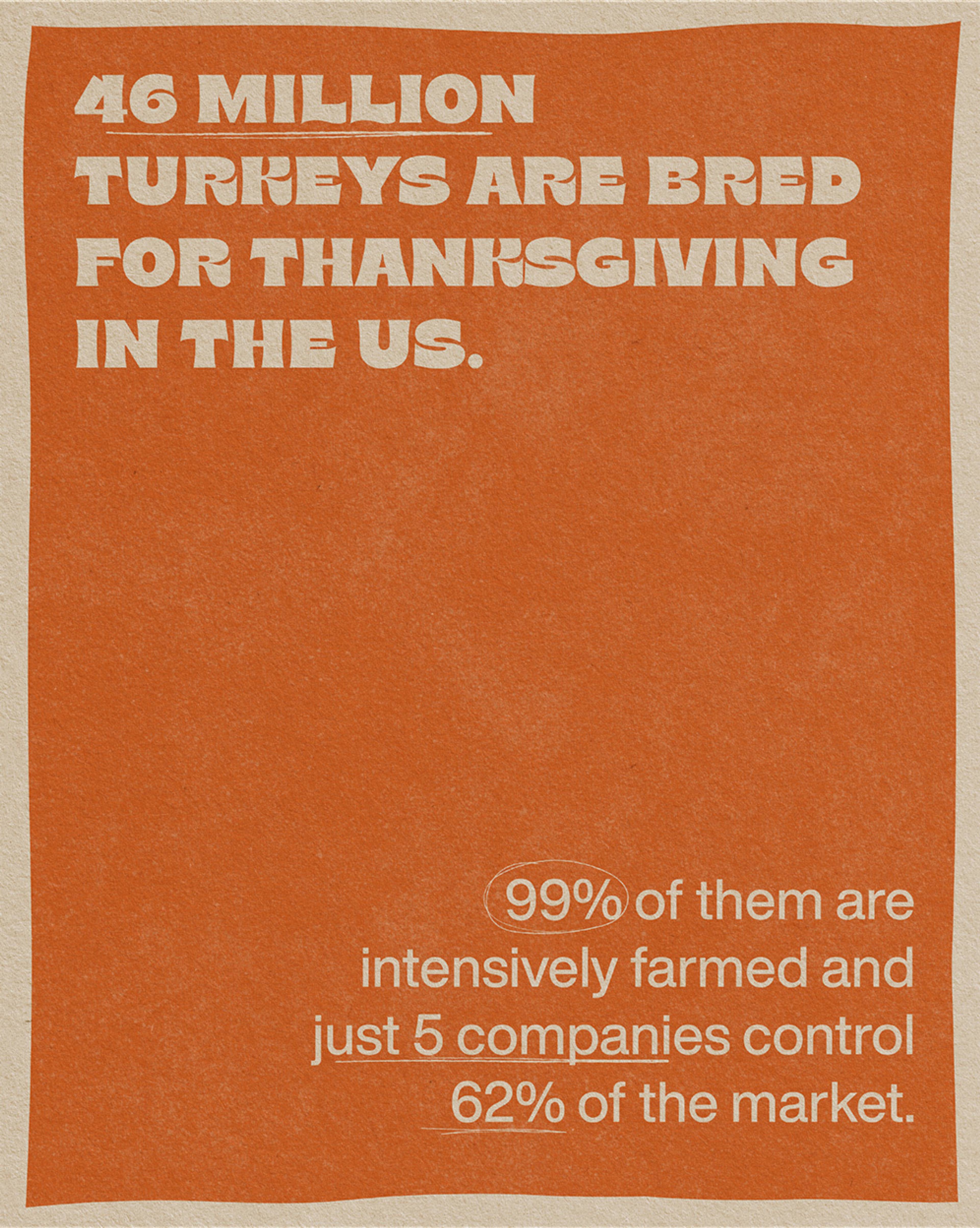 Images with caption alt text