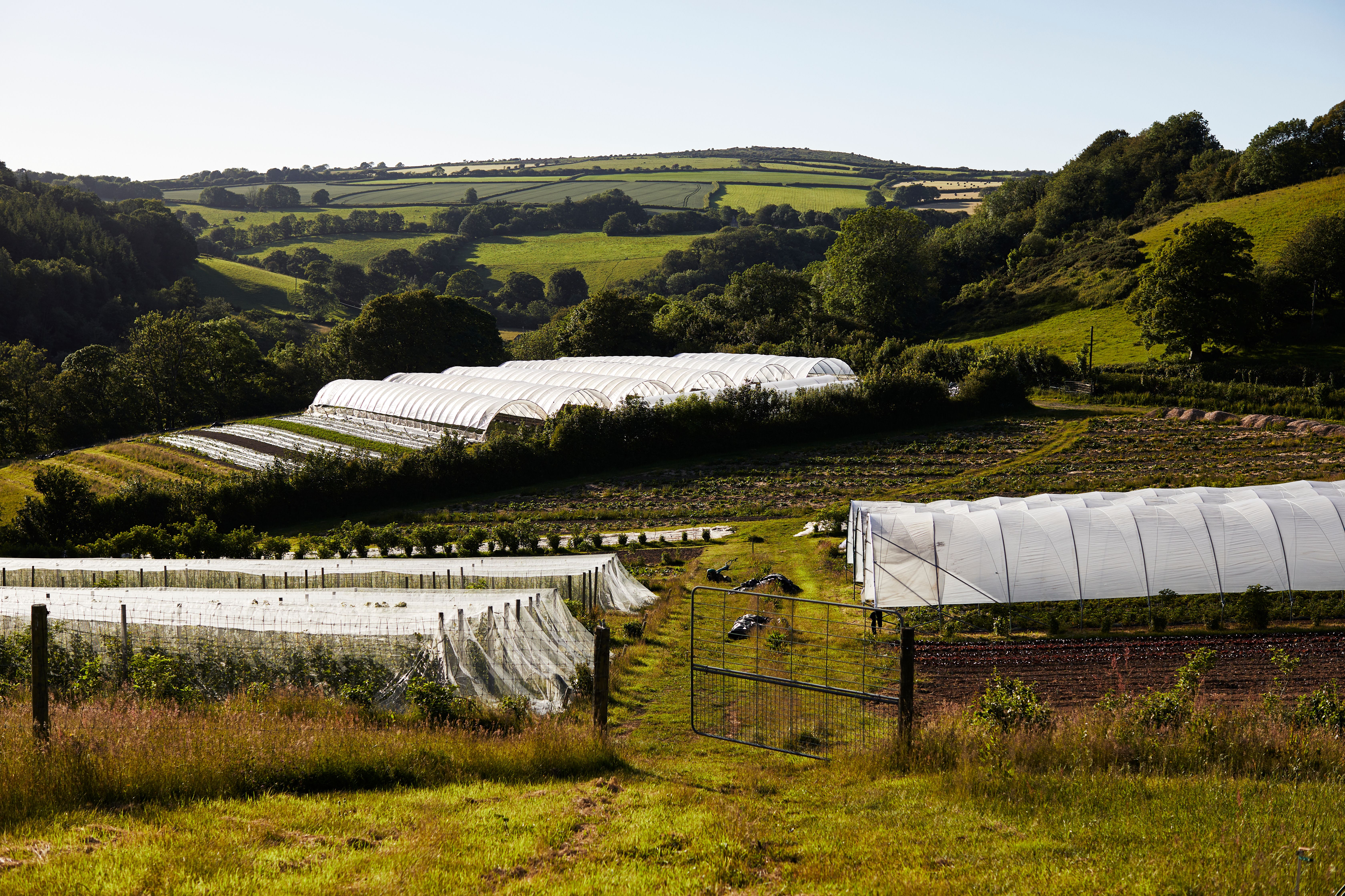 Mora Farm landscape in Cornwall