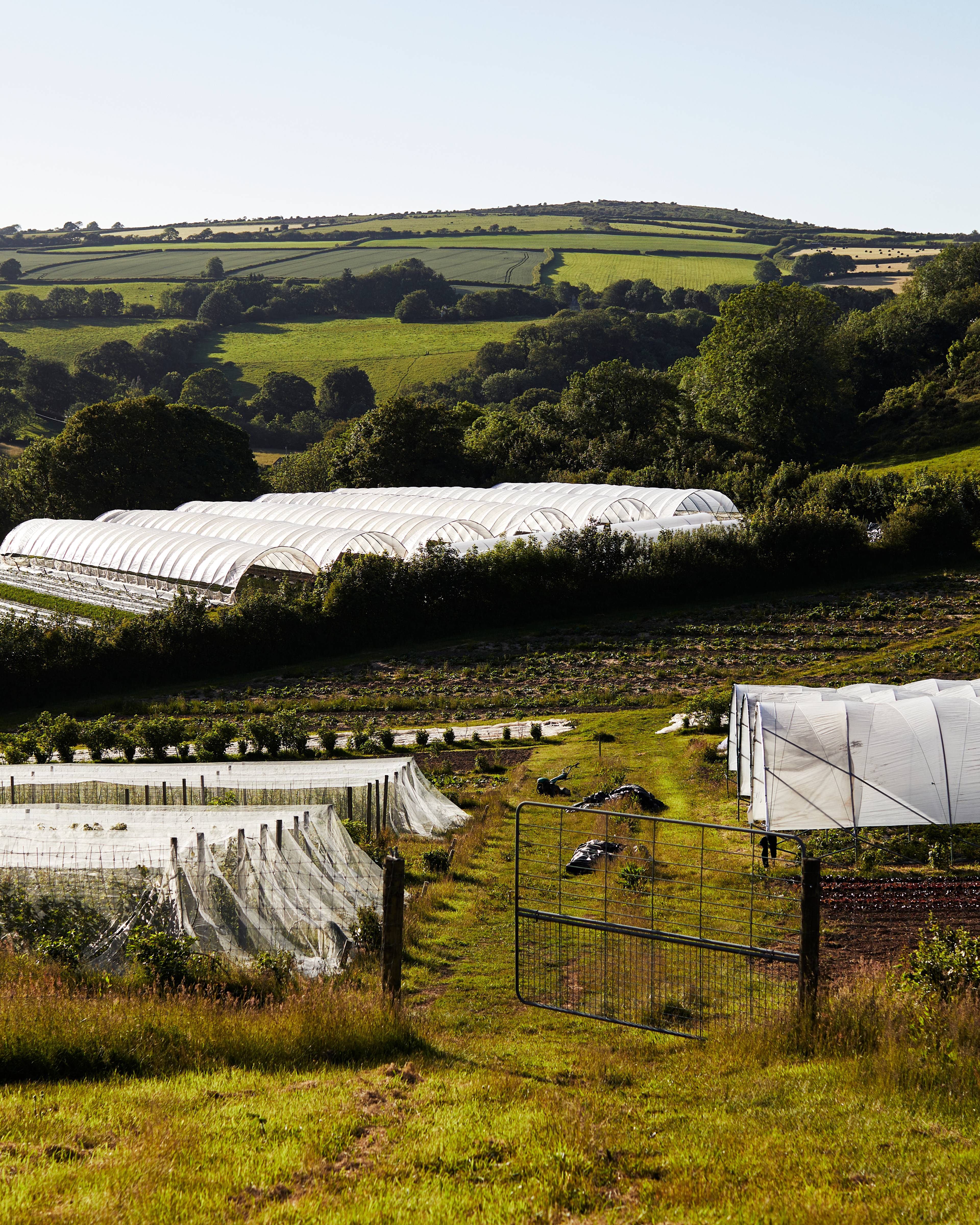 Mora Farm landscape in Cornwall