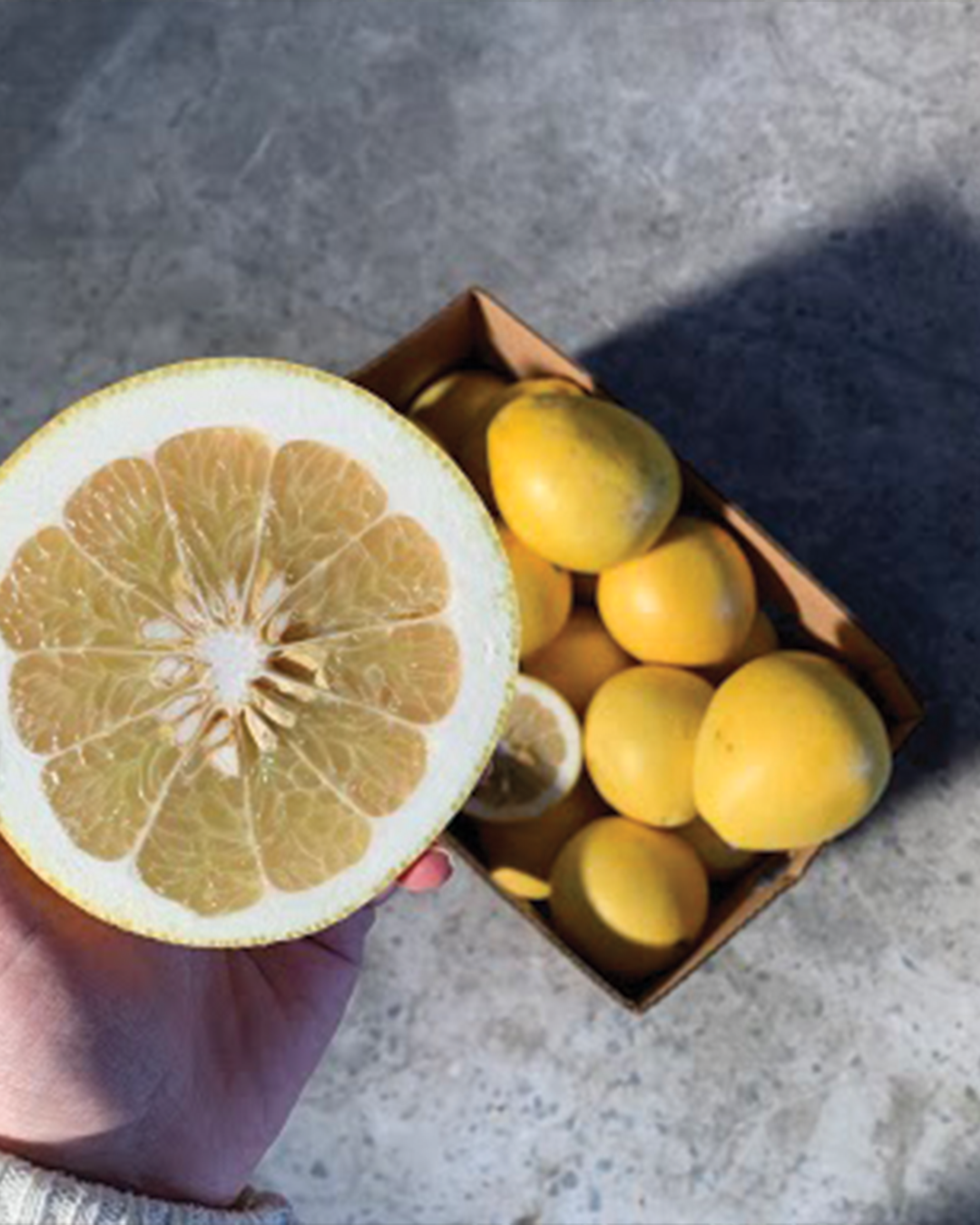 Season planner image