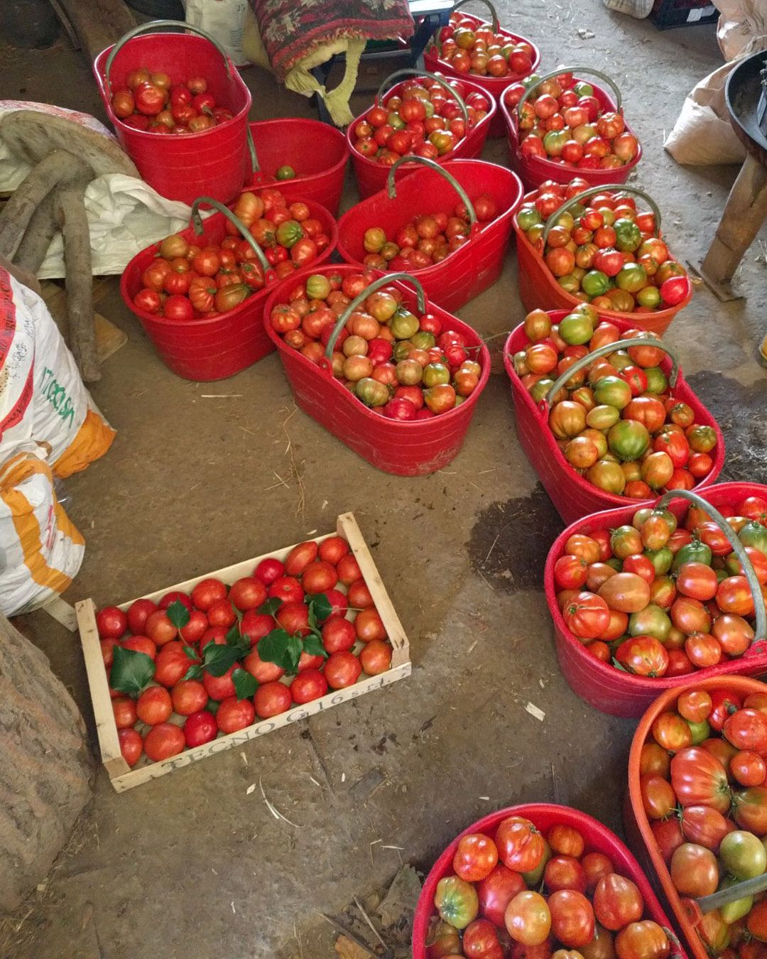 Images with caption alt text