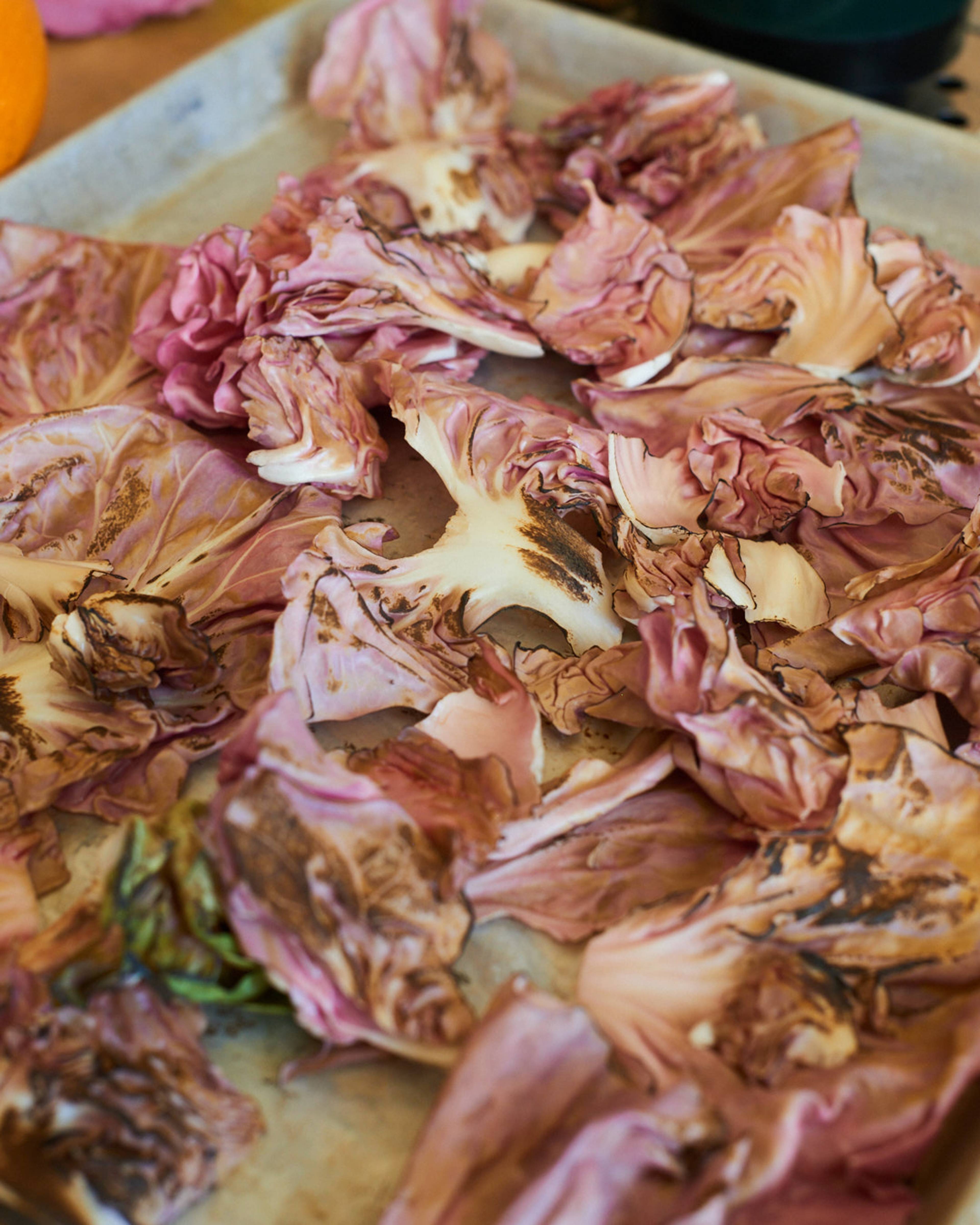 Images with caption alt text