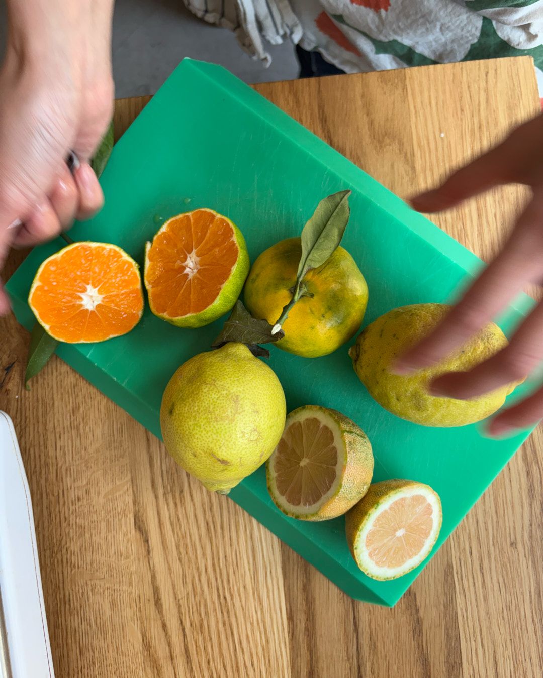 Images with caption alt text