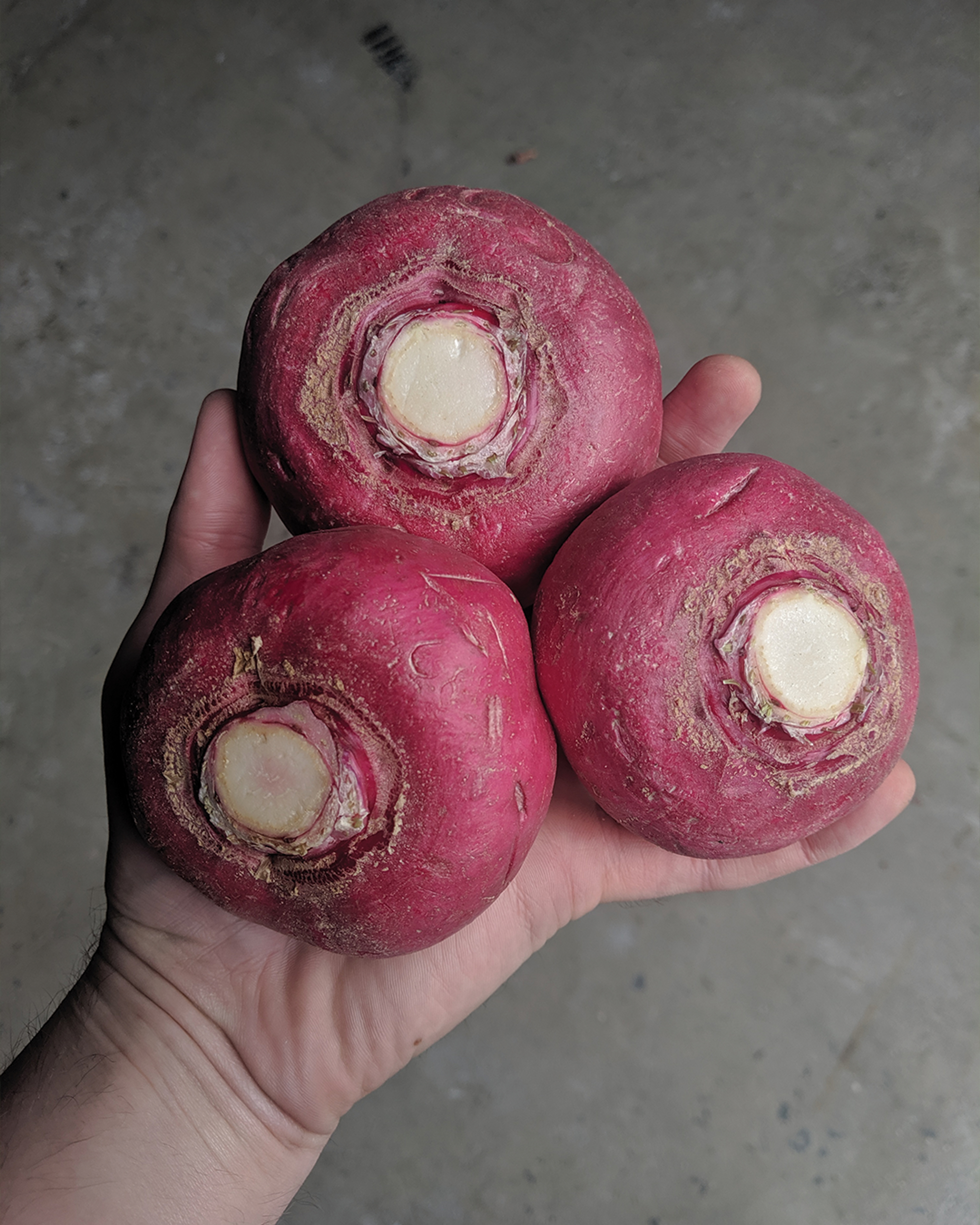 Season planner image