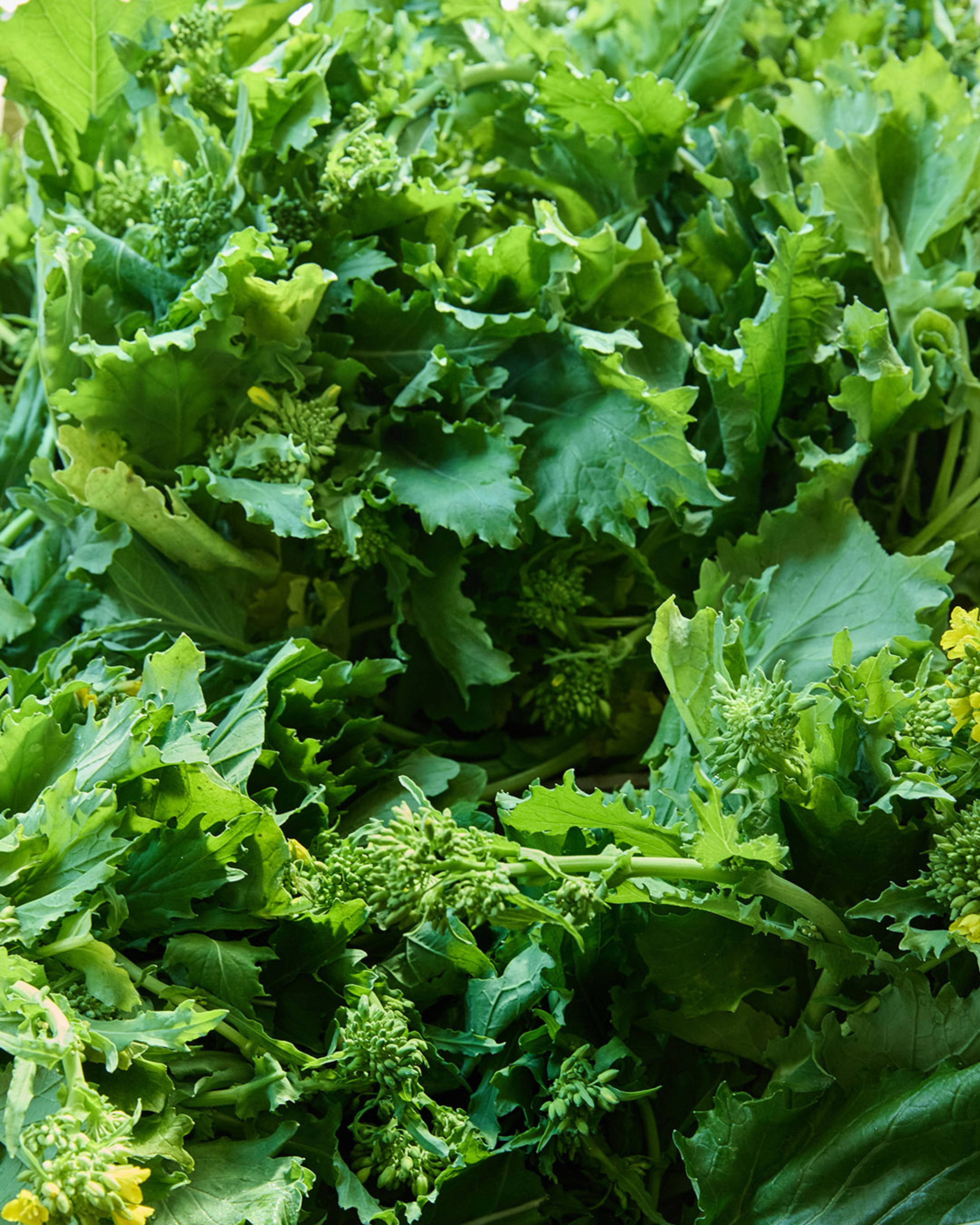 Season planner image