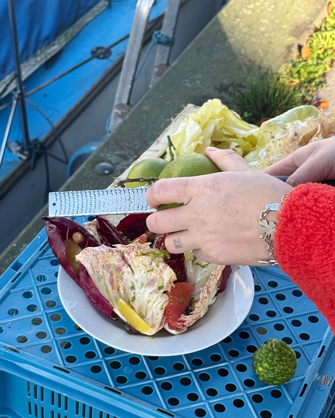 Images with caption alt text