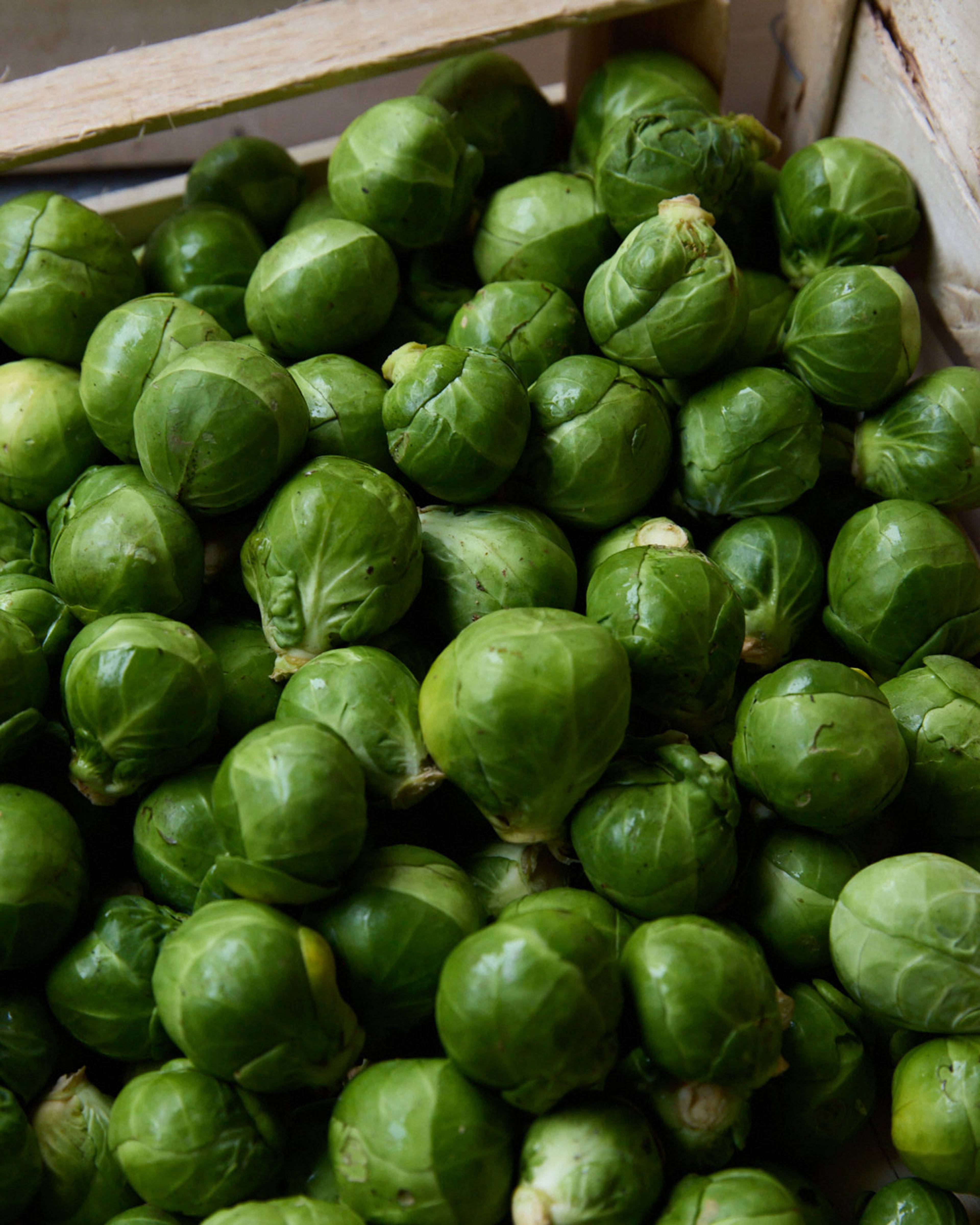 Season planner image