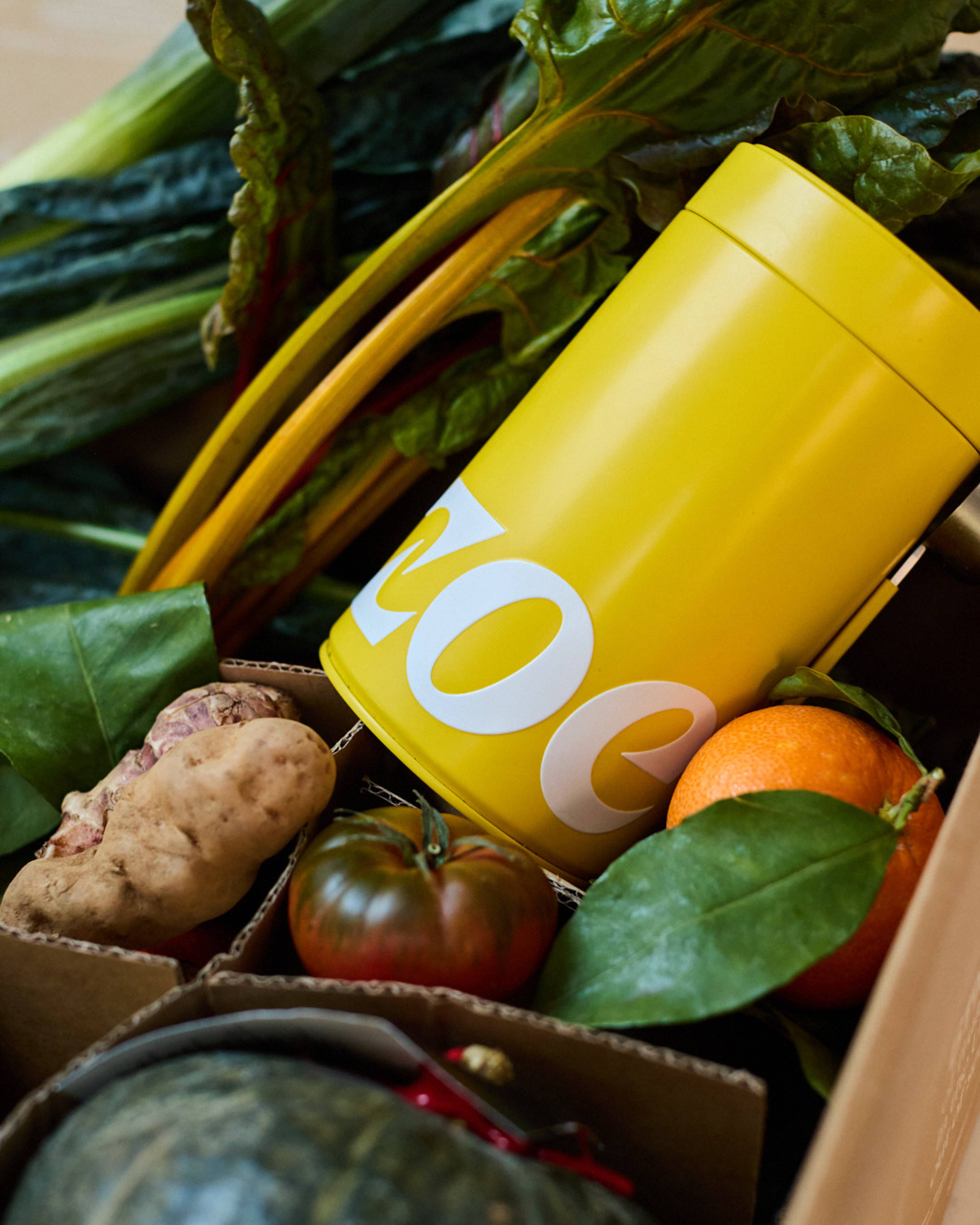 Images with caption alt text