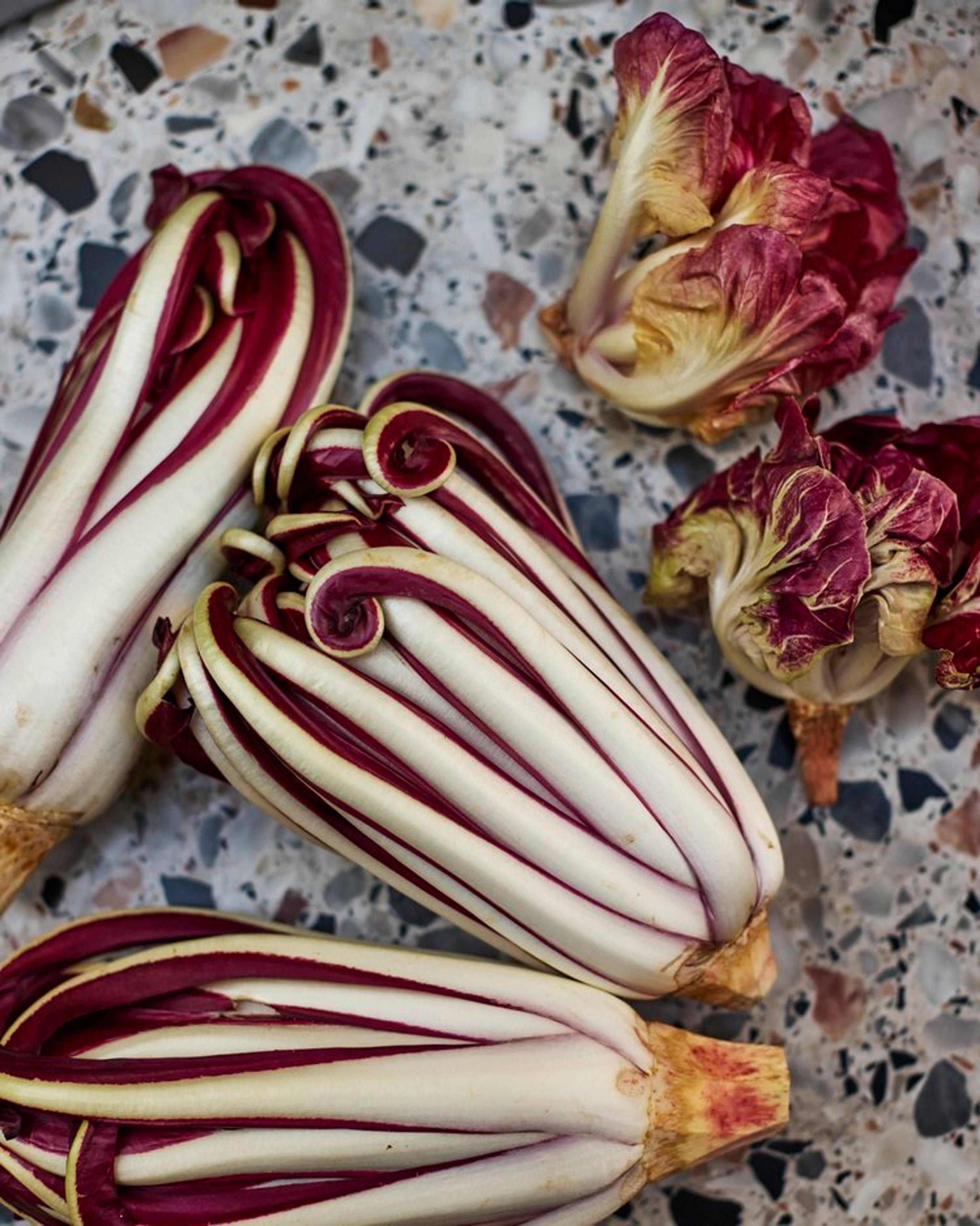 tardivo radicchio and grumolo radicchio