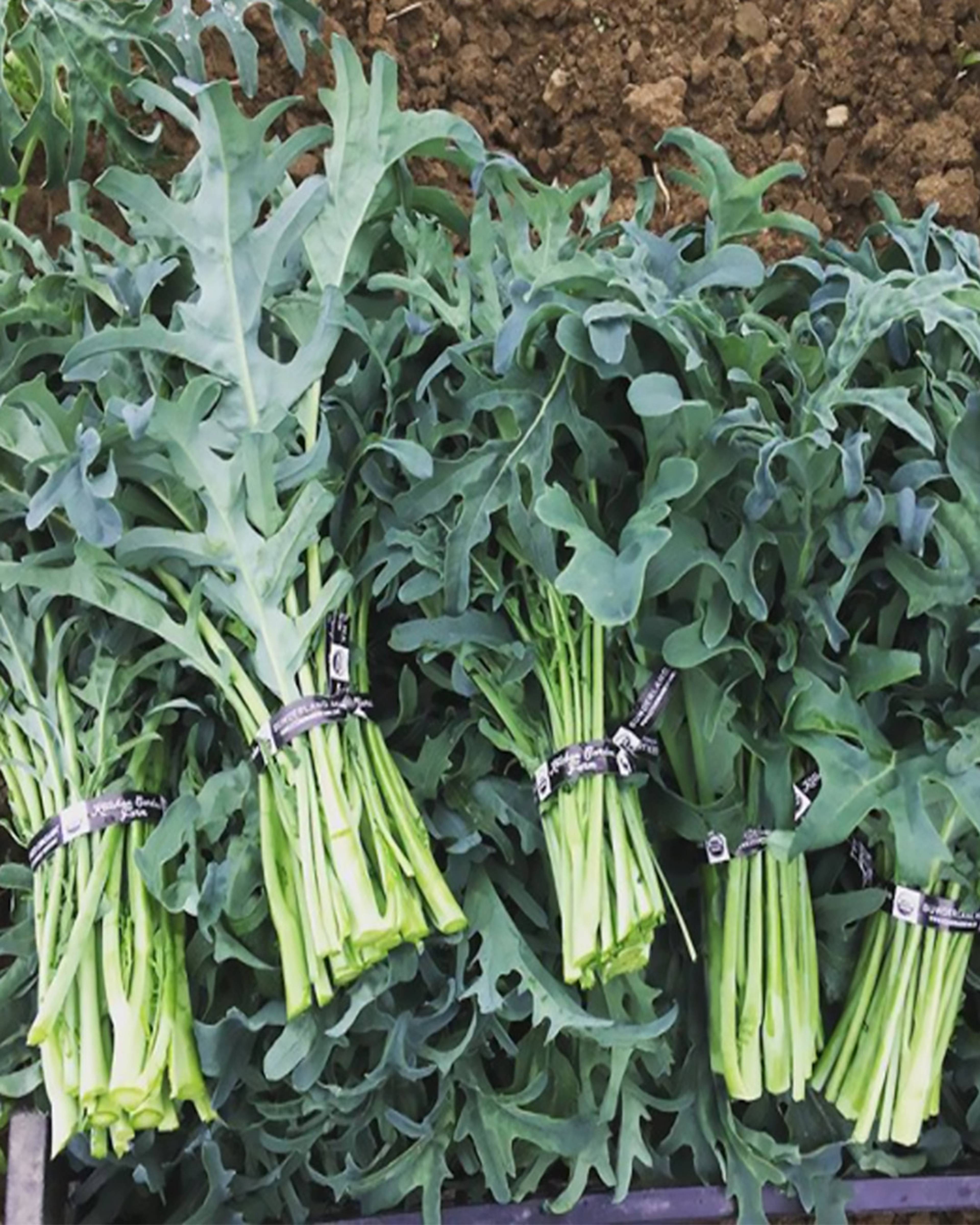 Season planner image