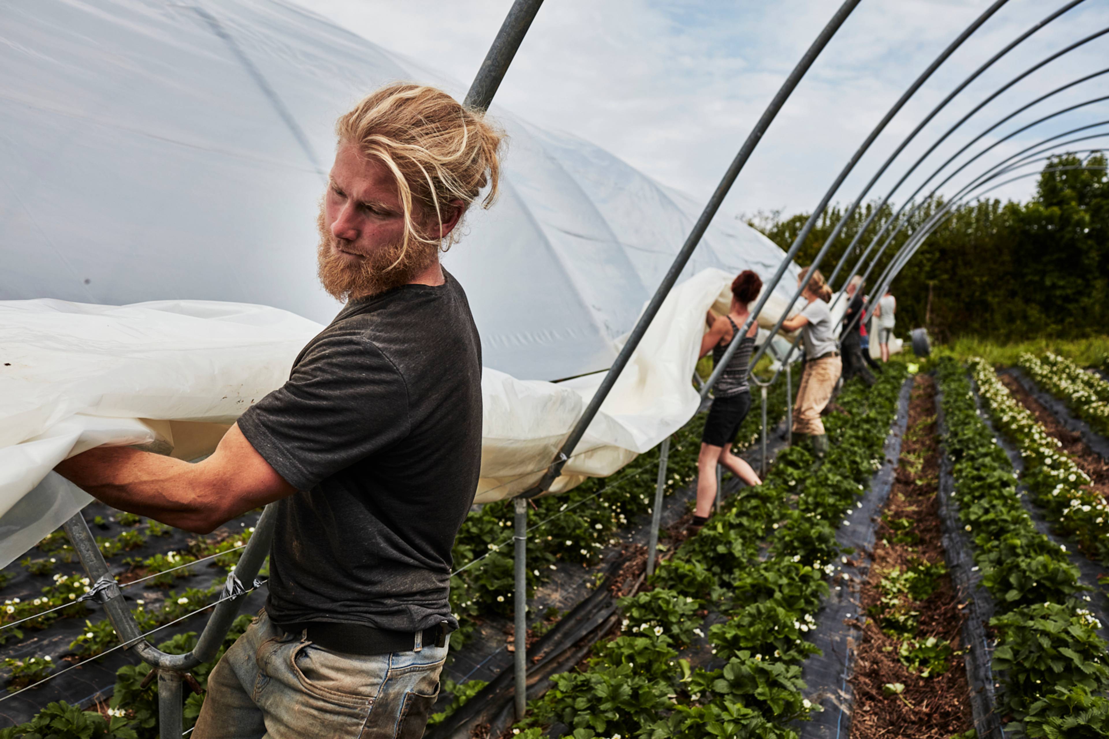 The team at Mora Farm putting up polytunnels