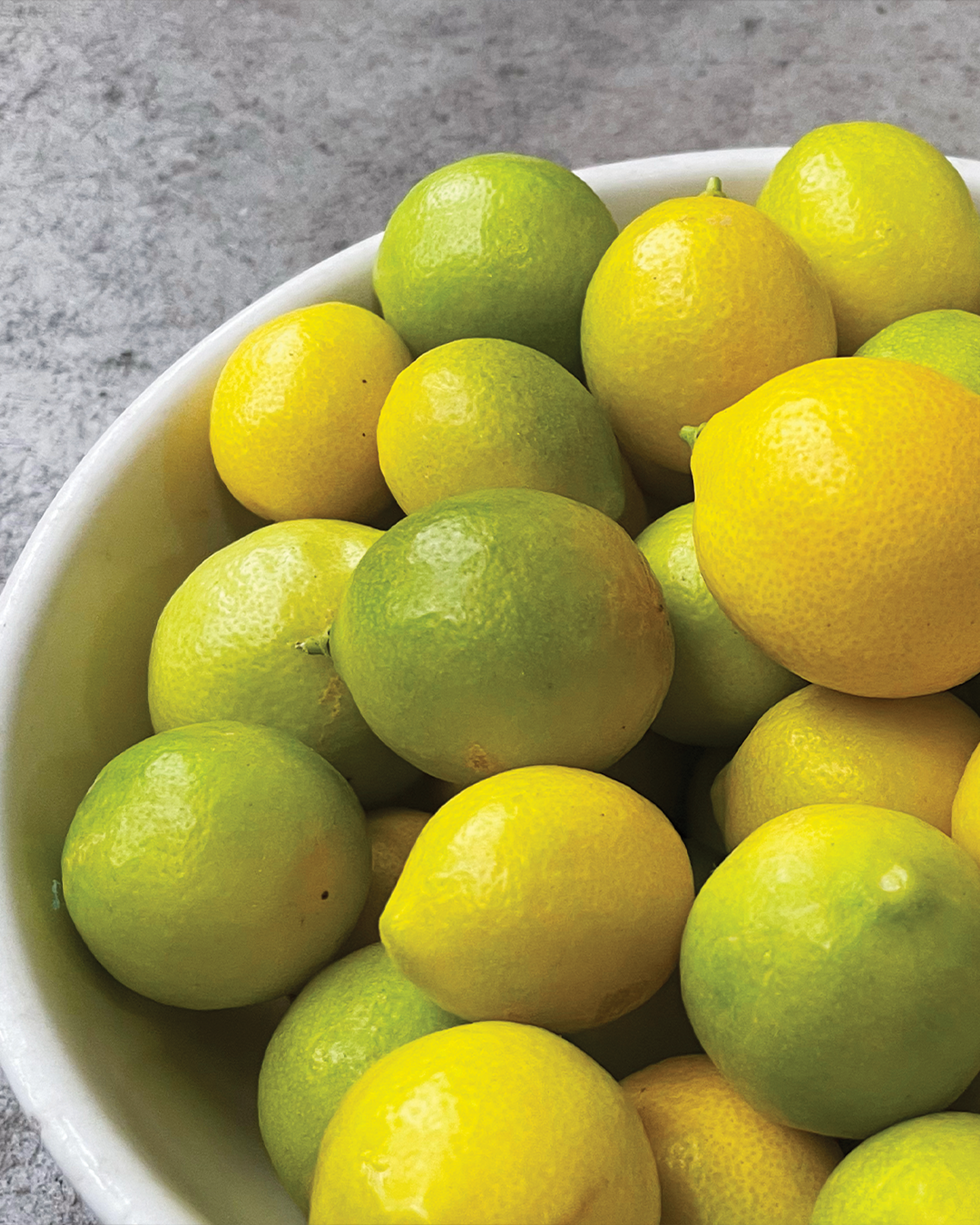 Season planner image