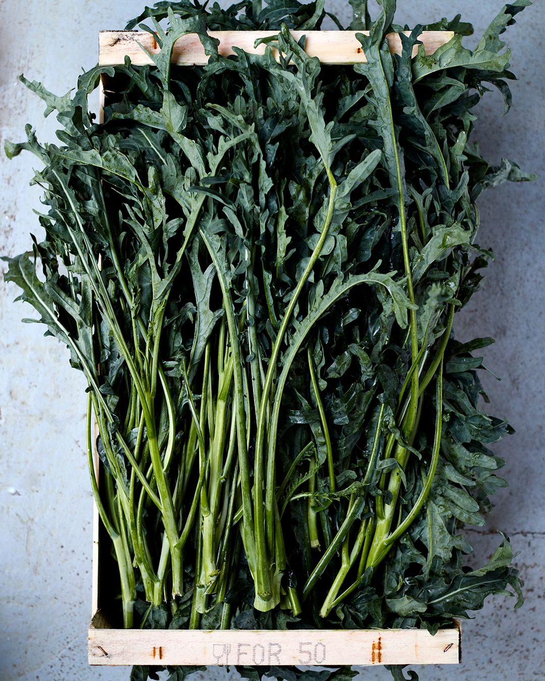 Season planner image