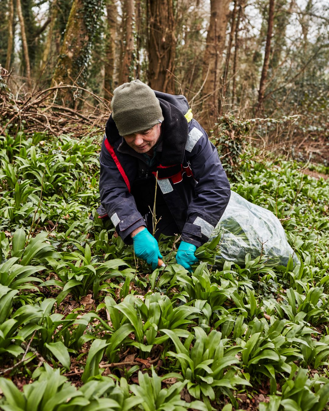 Season planner image
