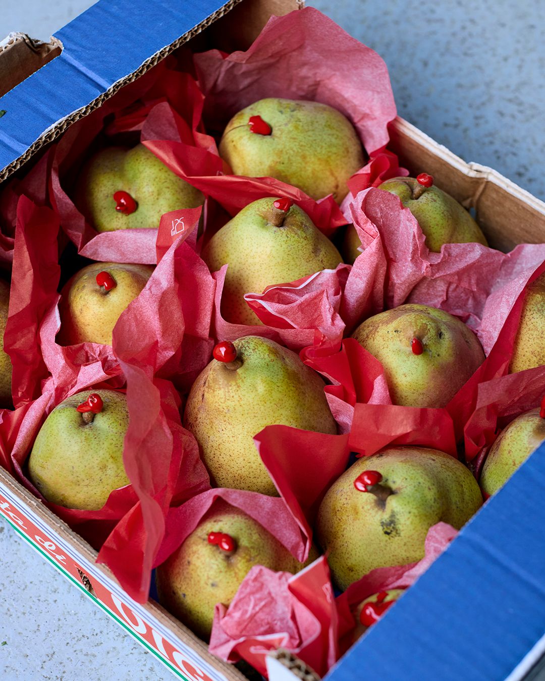 Season planner image