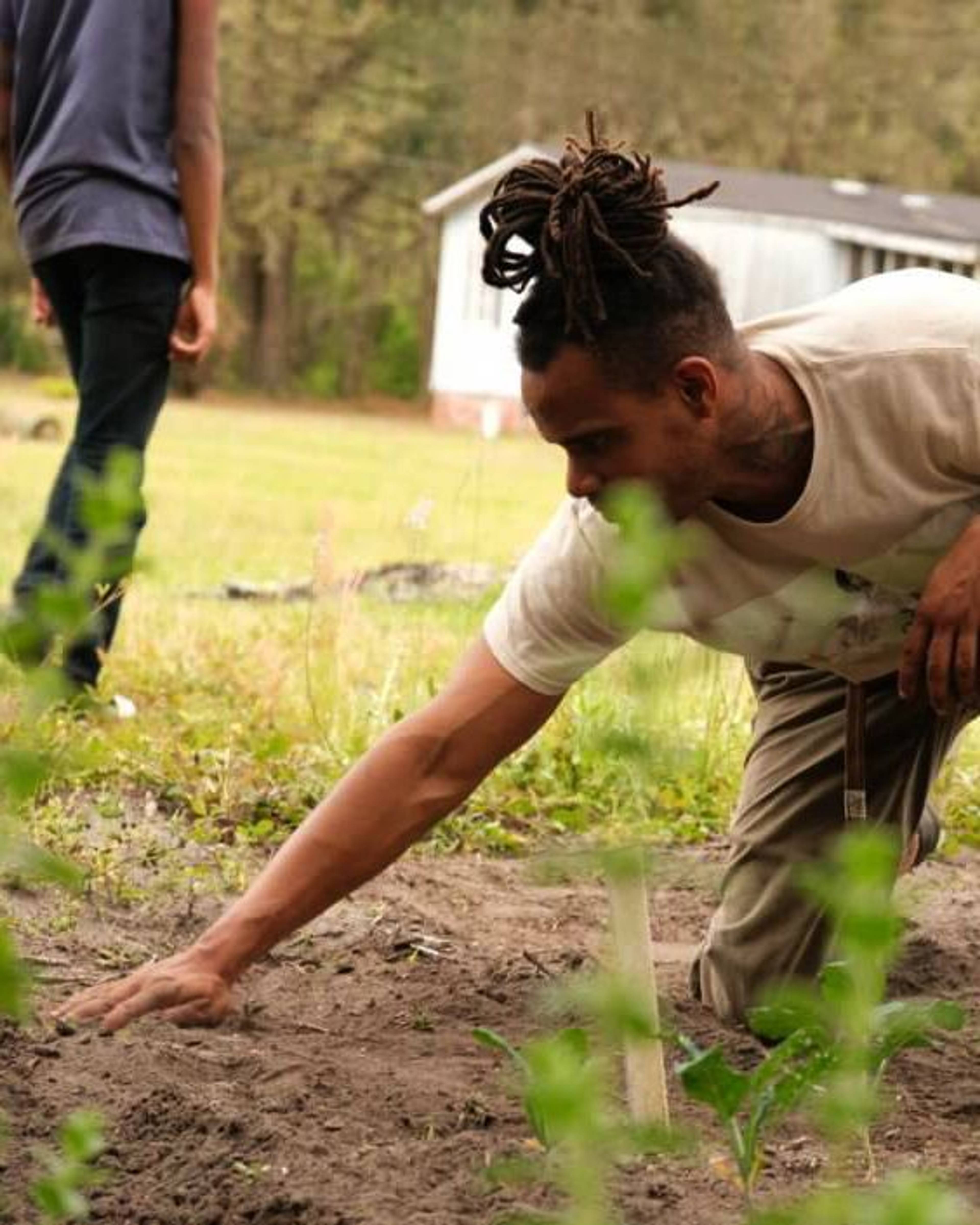 Man tending to the soil
