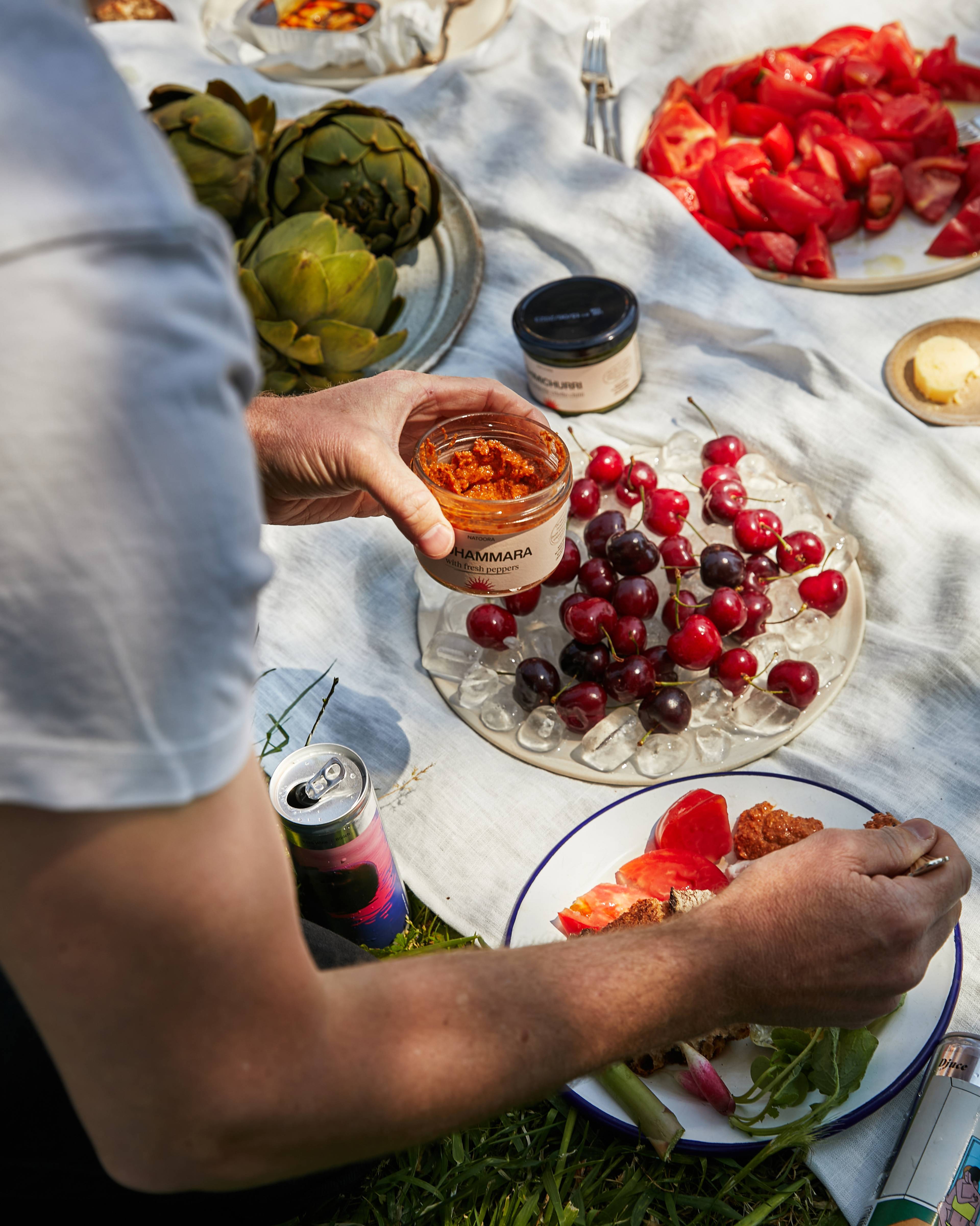 Picnic set up with Natoora dips