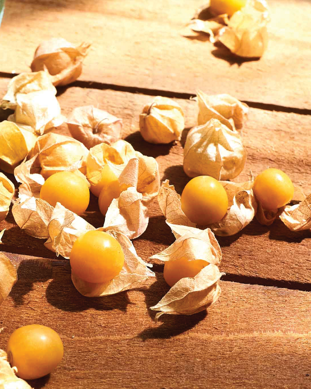 Husk Cherries, Lancaster Cooperative