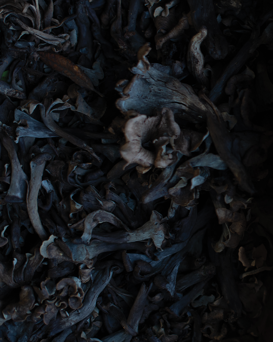 Season planner image