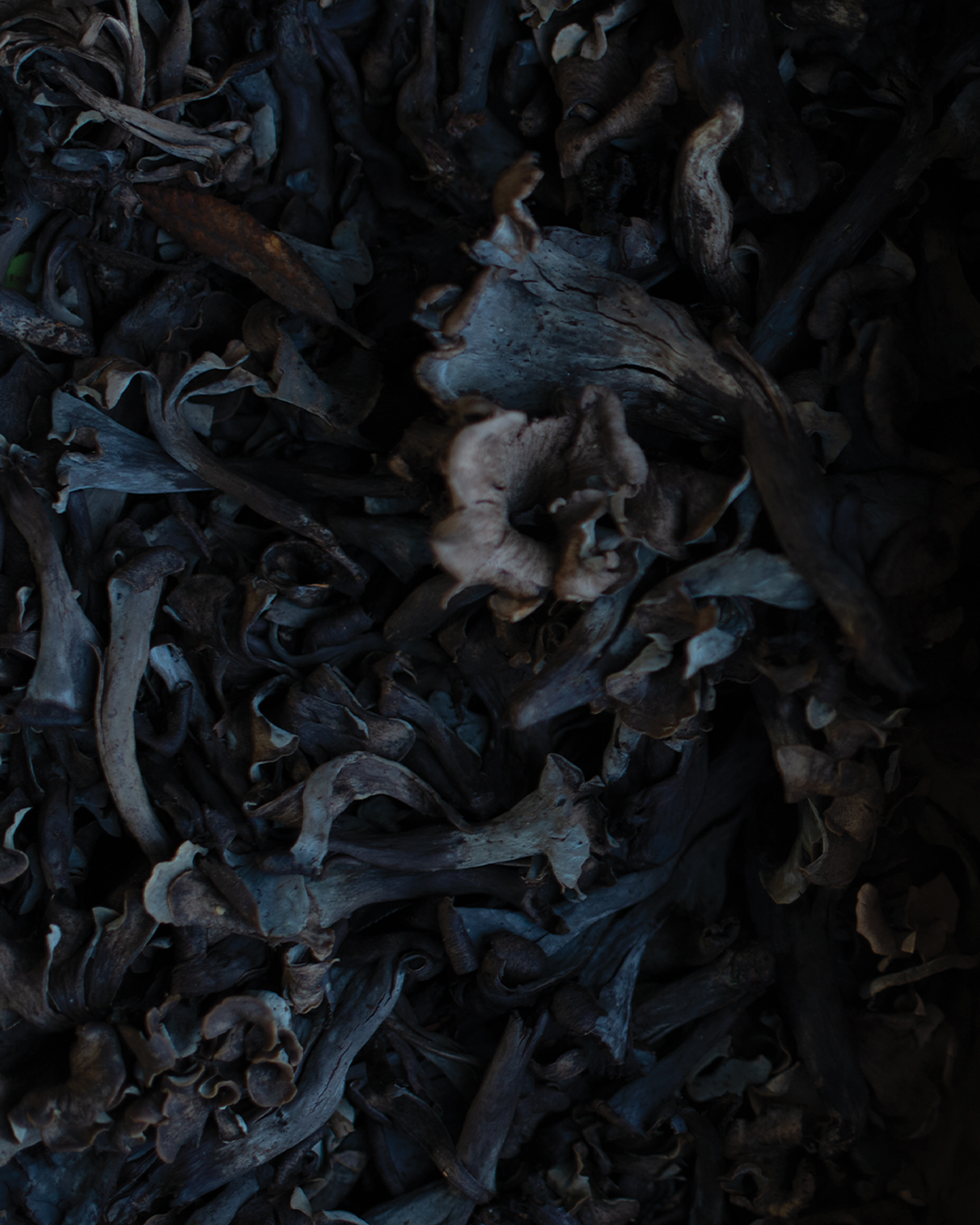 Season planner image