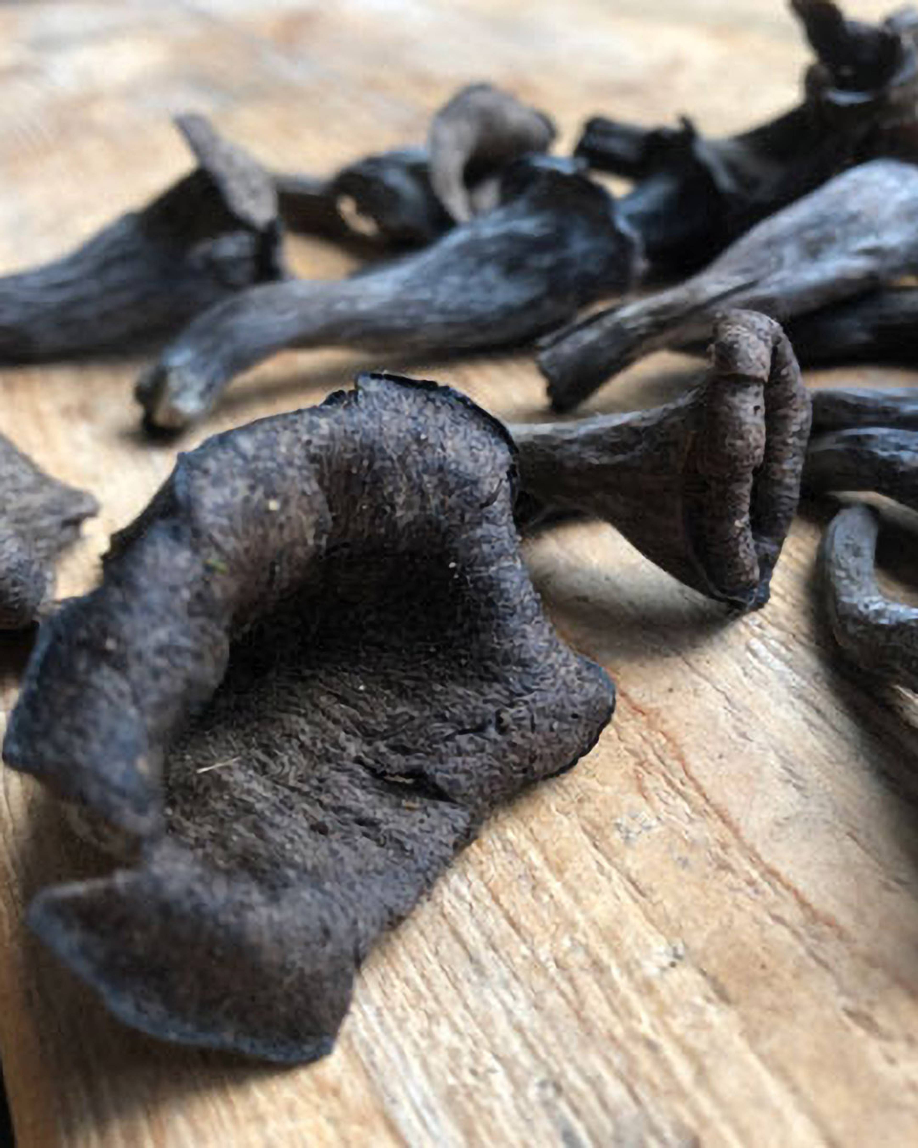 Season planner image