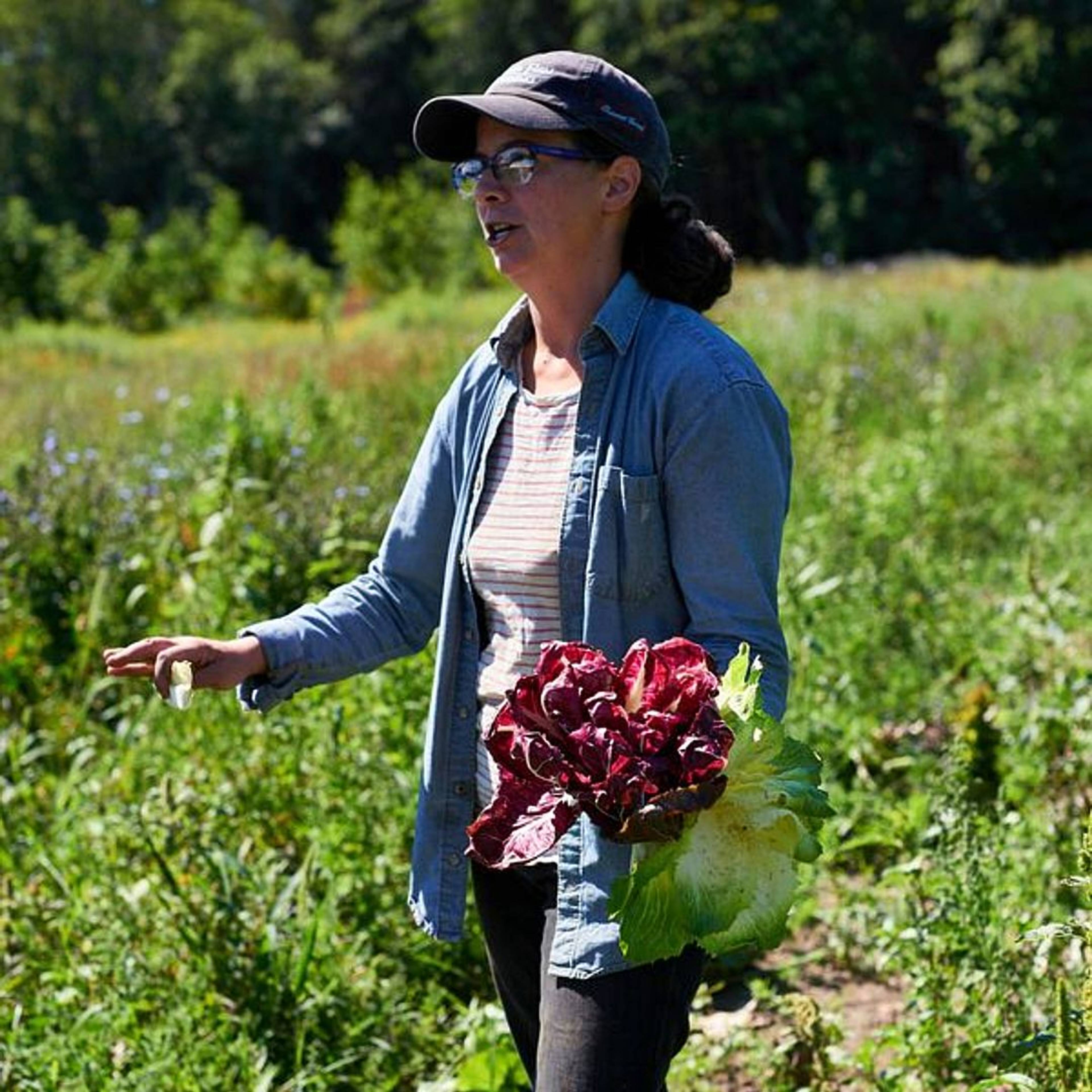 Amanda holding chicory in her hands