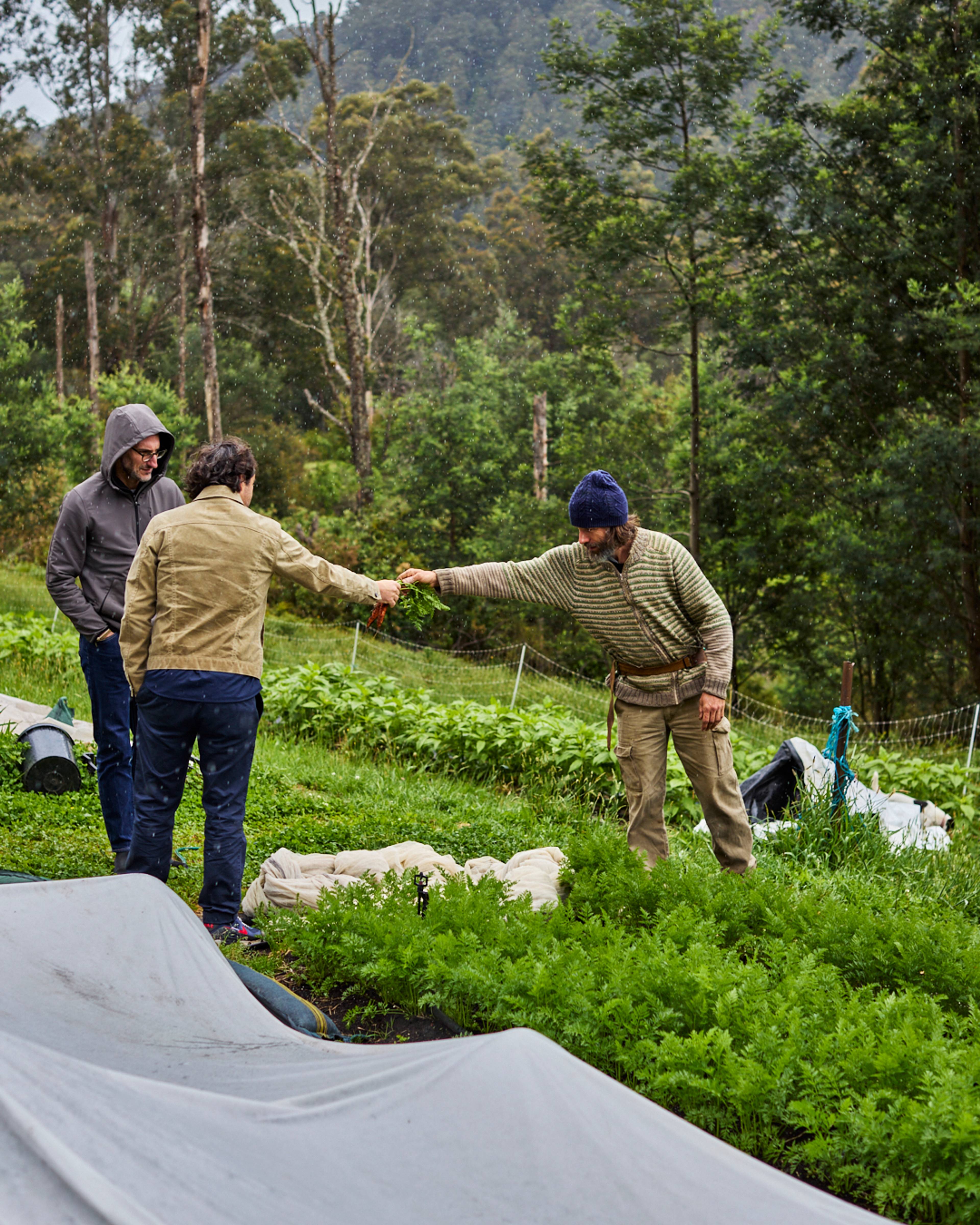 franco and chris at timbarra farm