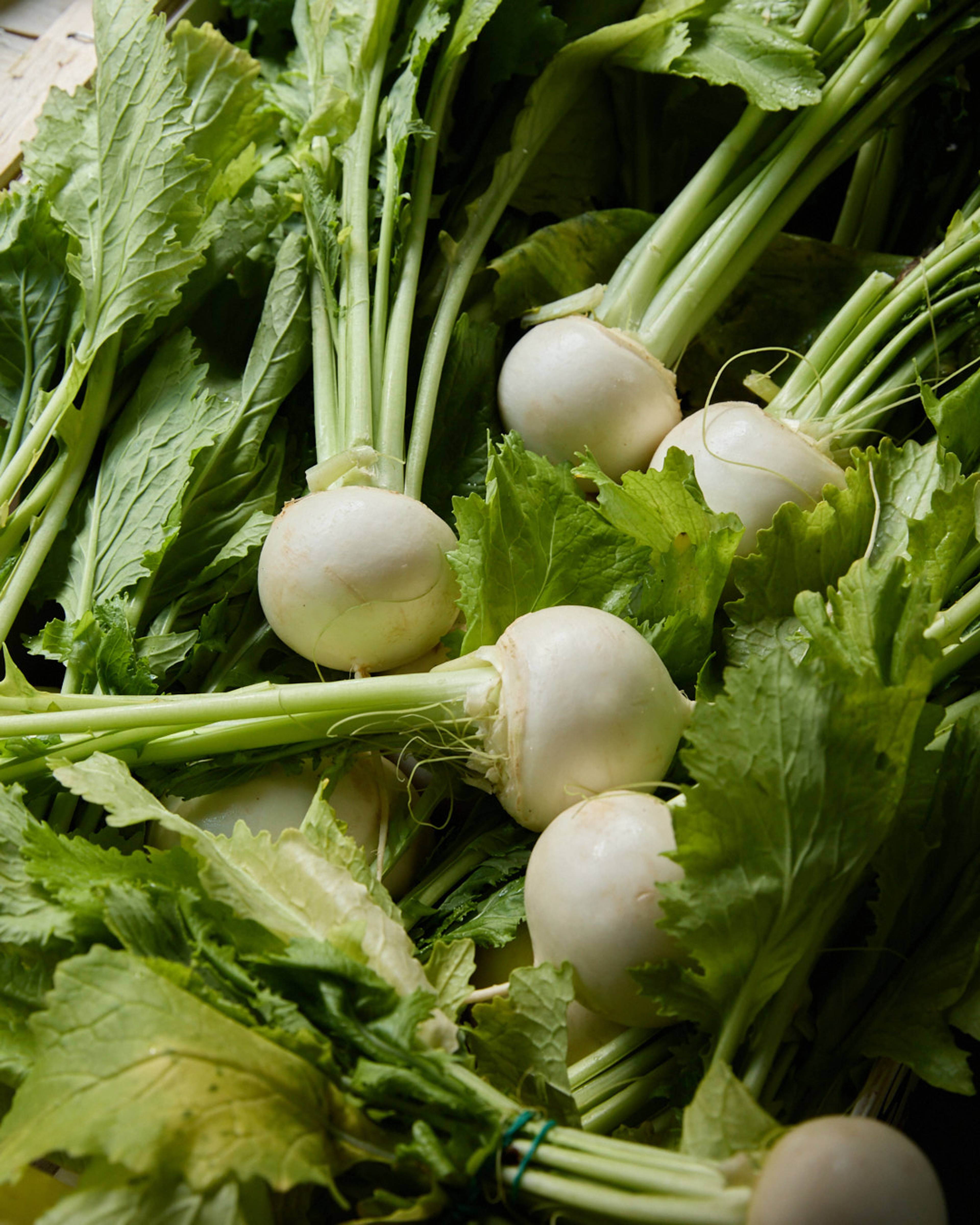 Season planner image