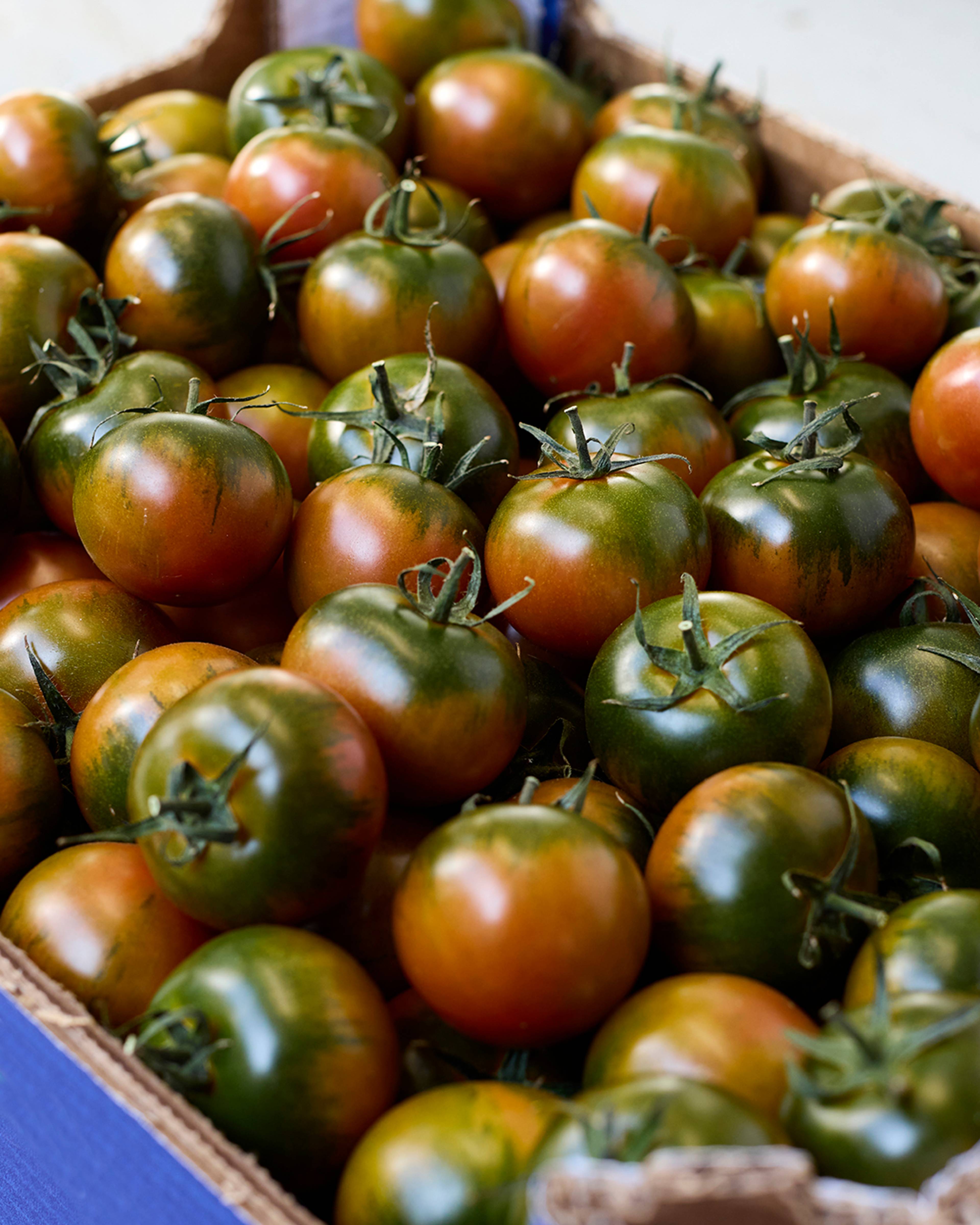 Season planner image