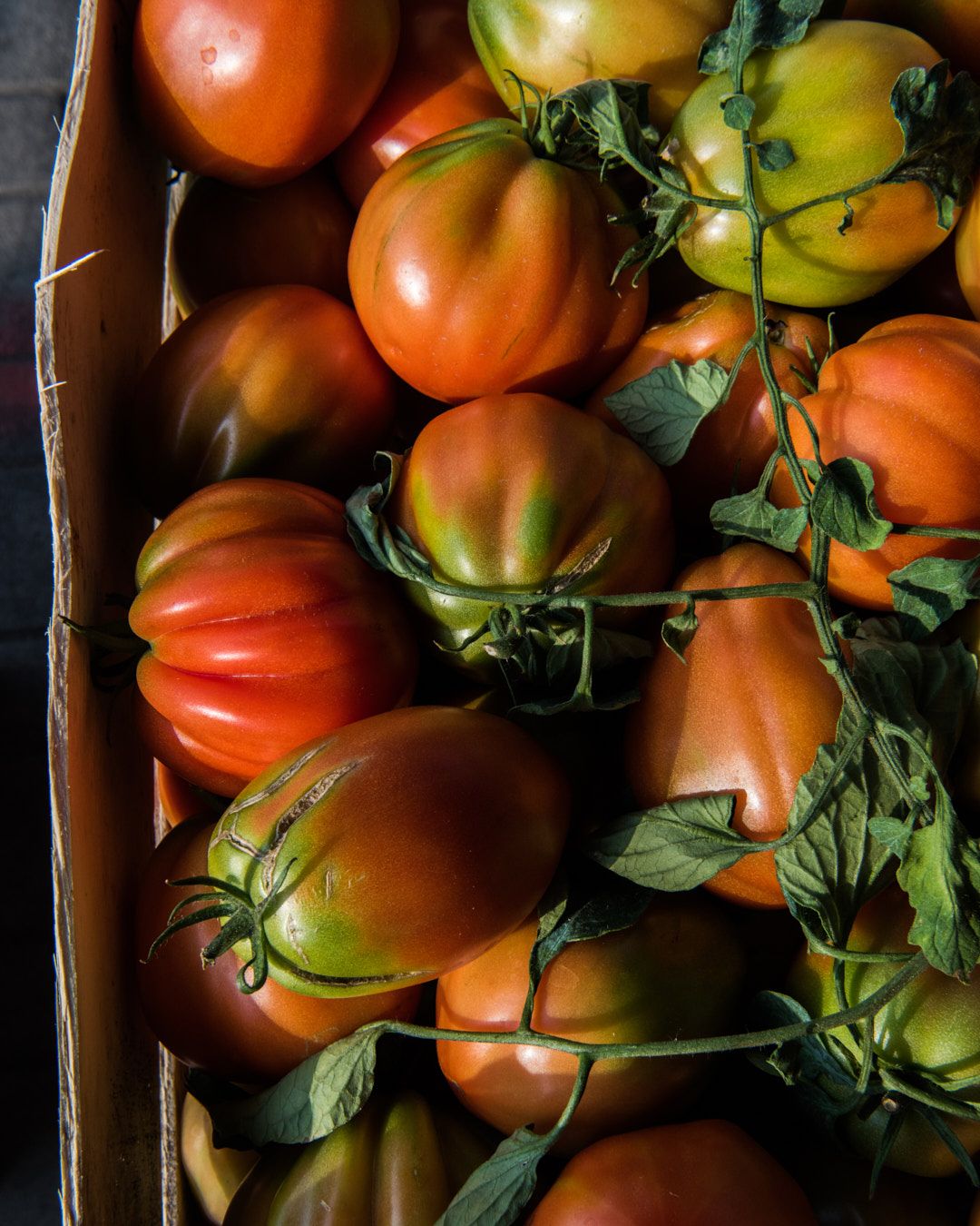 Images with caption alt text