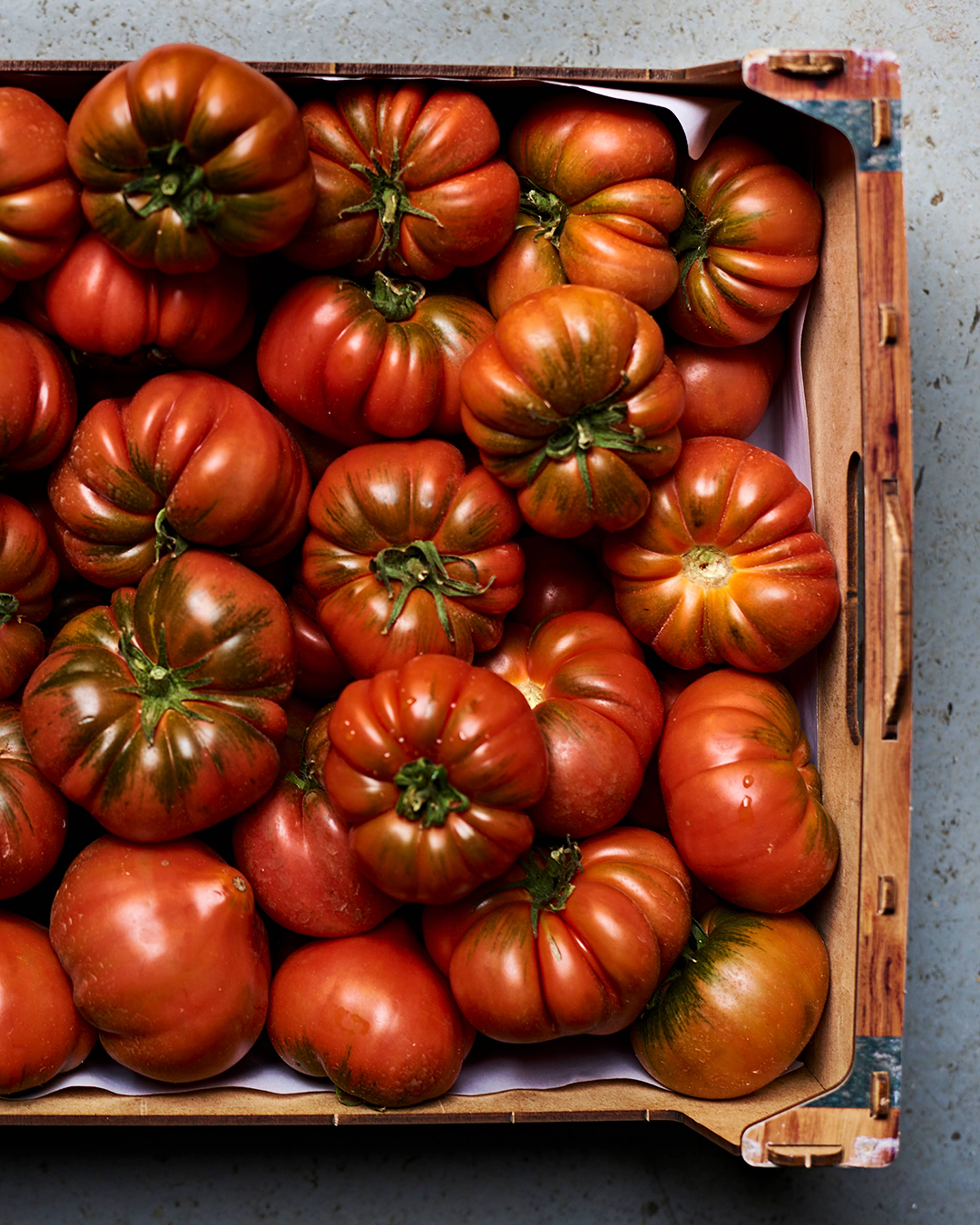 Season planner image