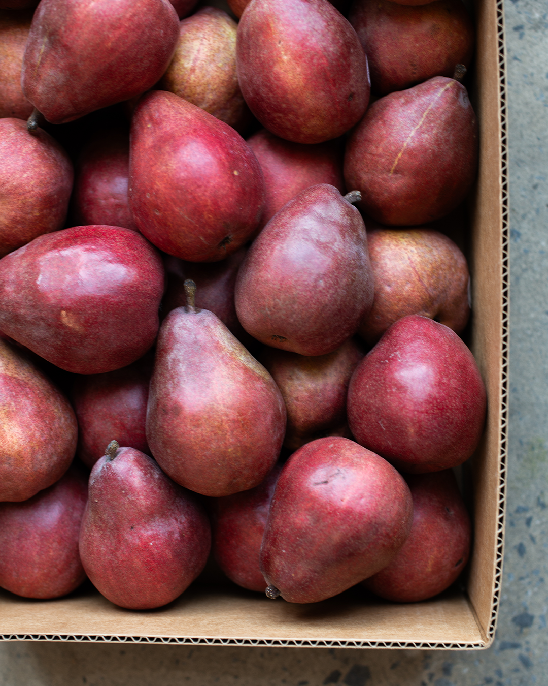 Season planner image