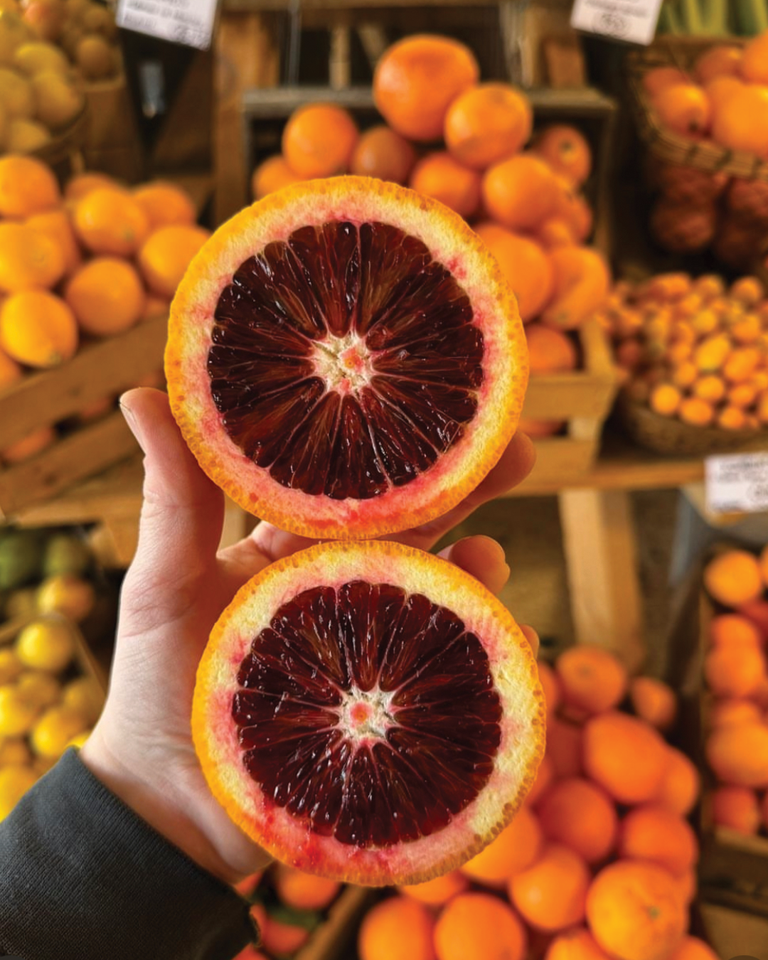 Season planner image